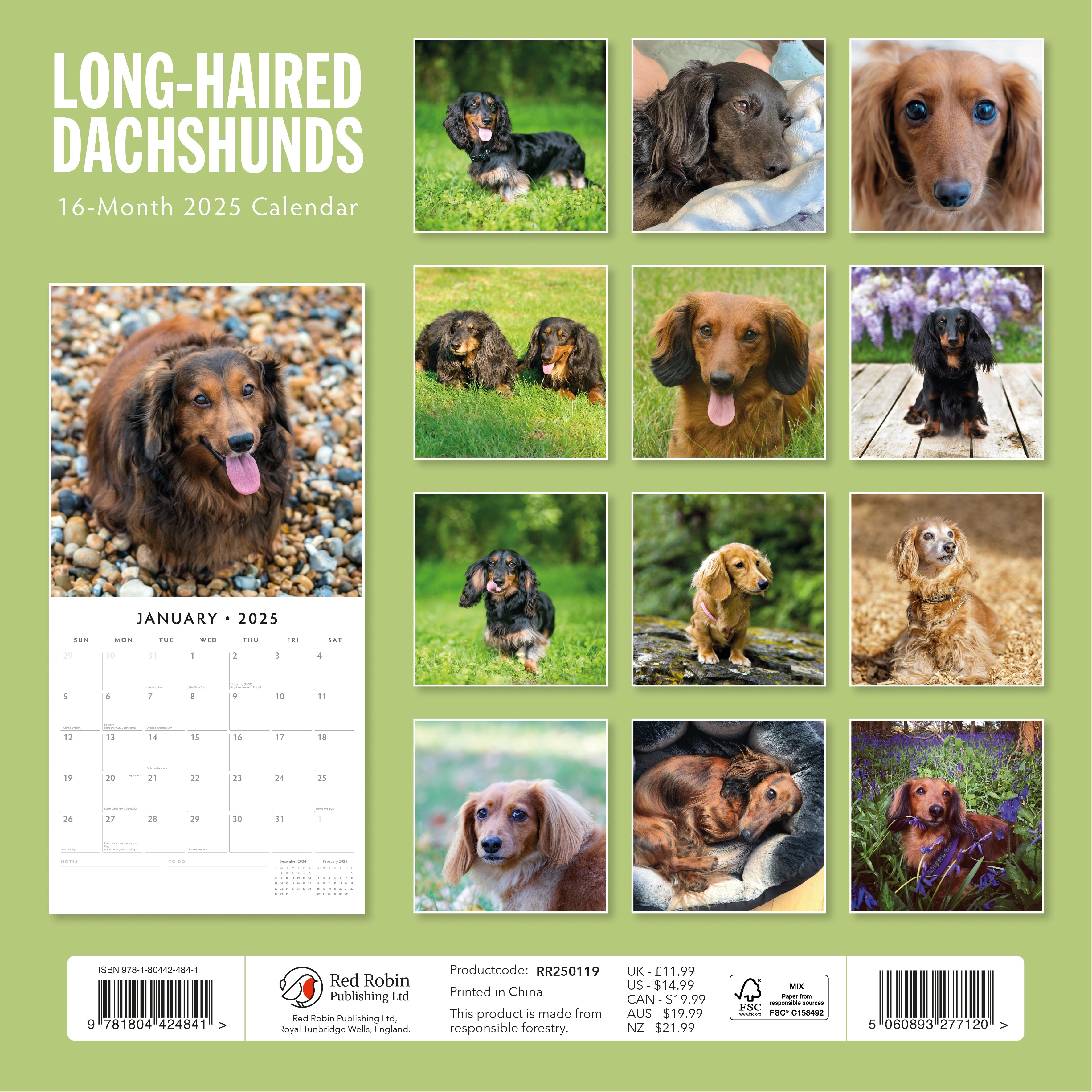 2025 Long-Haired Dachshunds - Square Wall Calendar