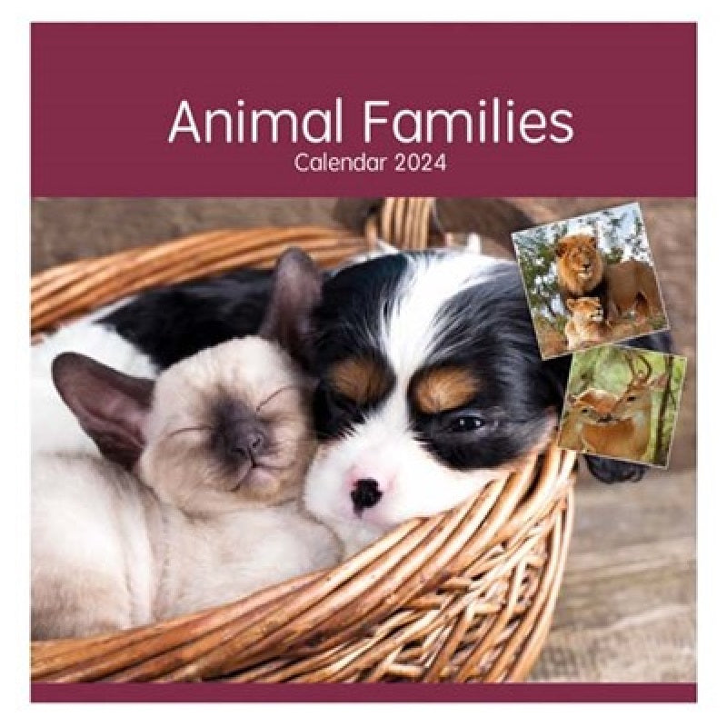 2024 Animal Families - Square Wall Calendar  SOLD OUT