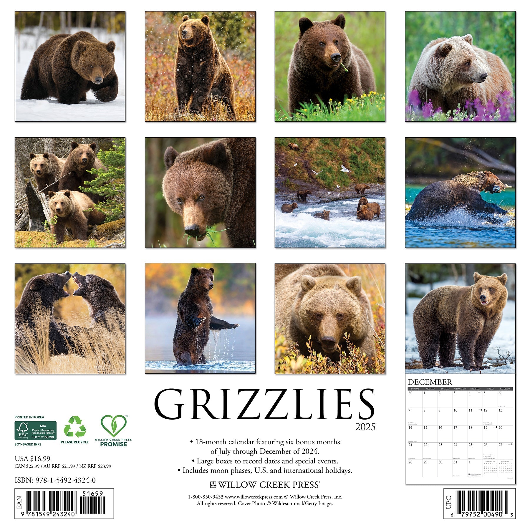 2025 Grizzlies - Square Wall Calendar (US Only)