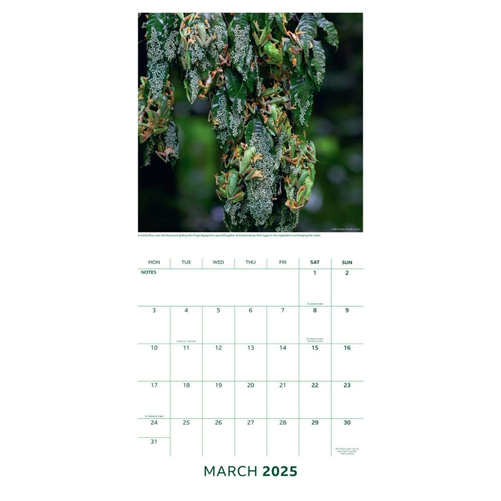 2025 Bbc Earth - Square Wall Calendar