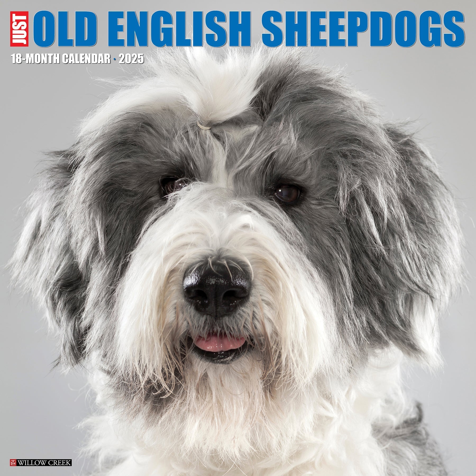 2025 Old English Sheepdogs - Square Wall Calendar (US Only)