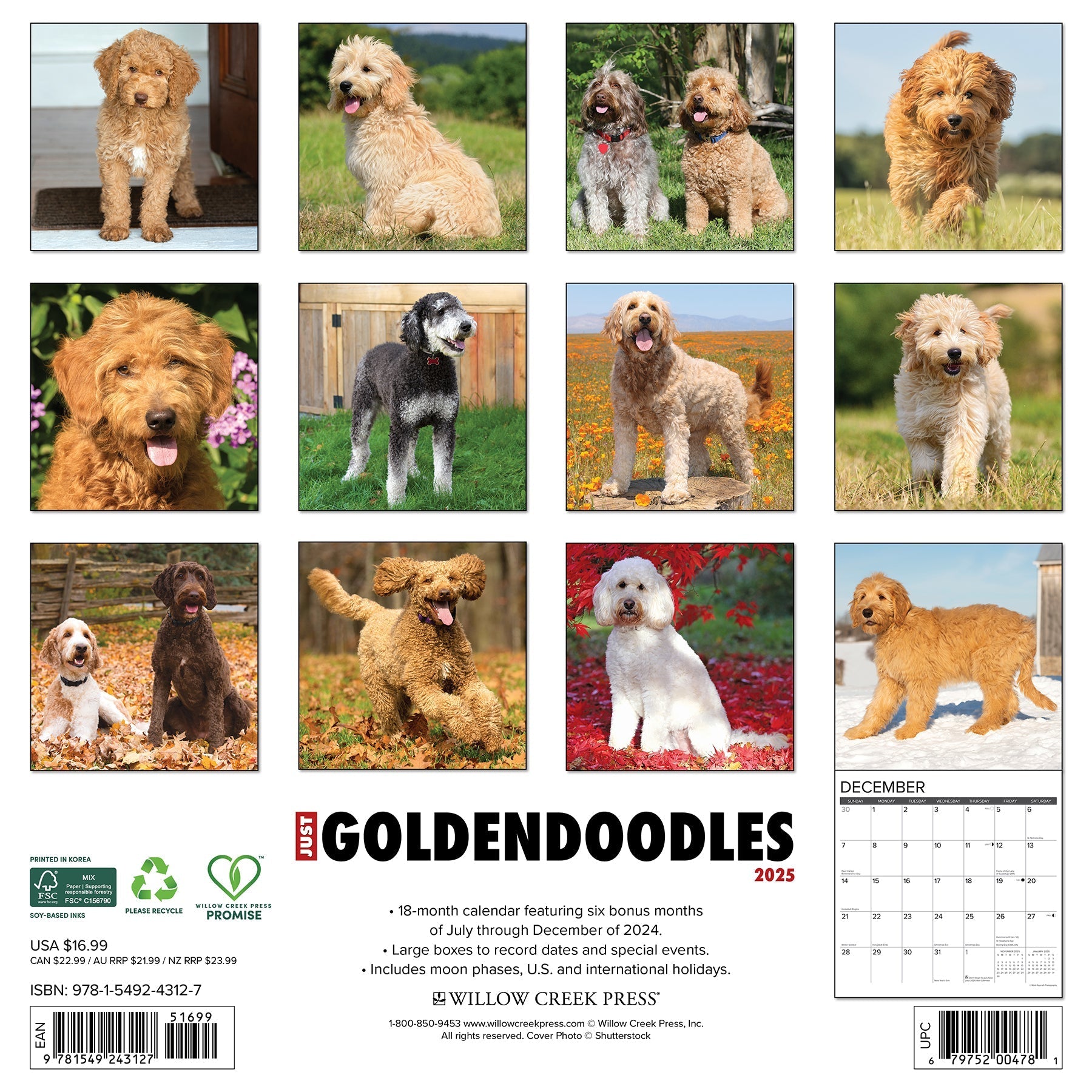 2025 Goldendoodles - Square Wall Calendar (US Only)