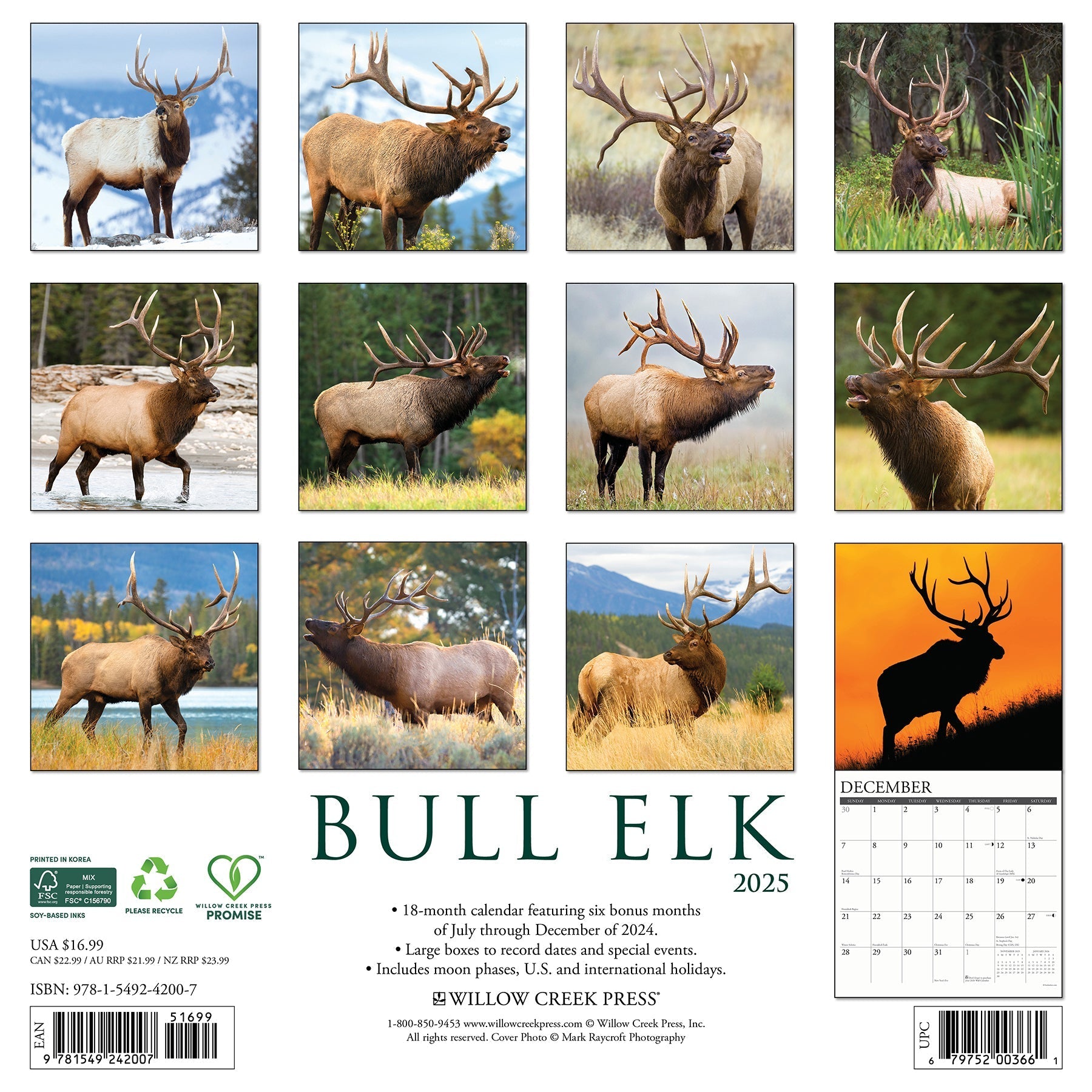 2025 Bull Elk - Square Wall Calendar (US Only)