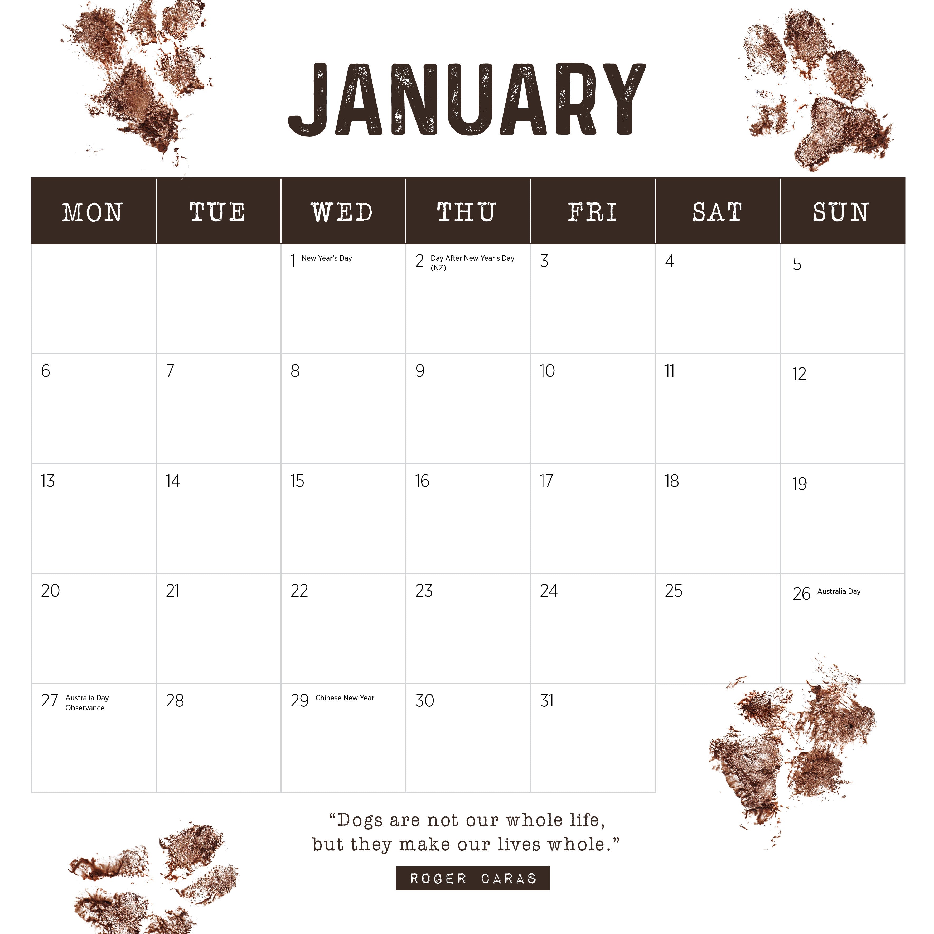2025 Farm Dogs - Square Wall Calendar