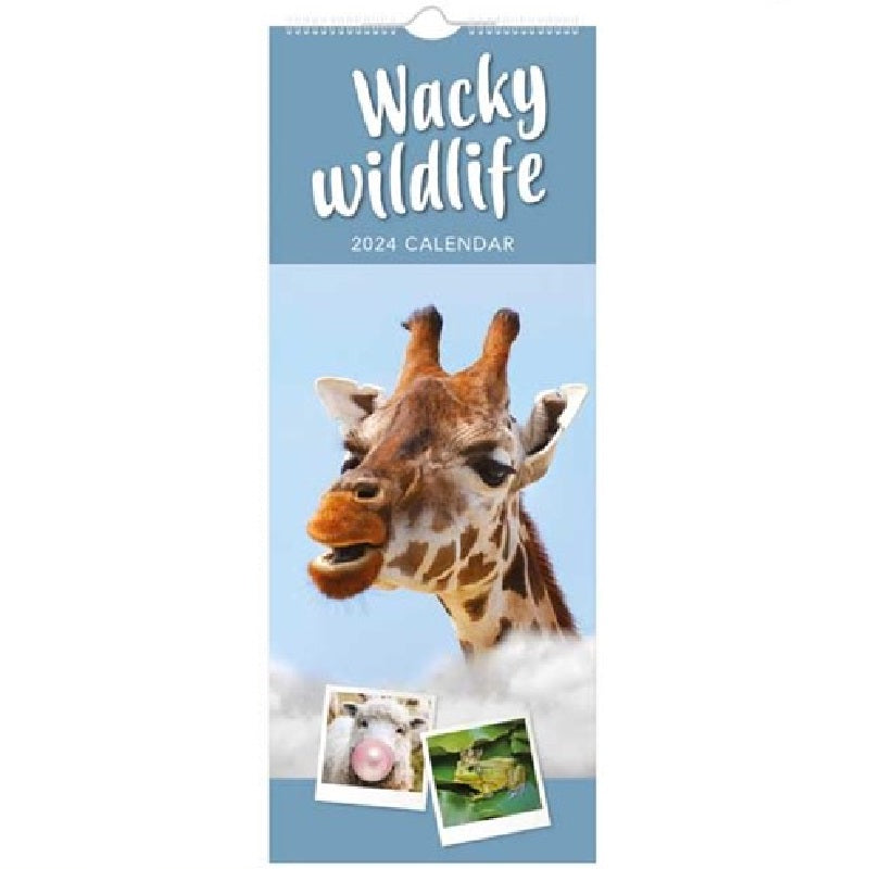 2024 Wacky Wildlife Super - Slim Wall Calendar  SOLD OUT