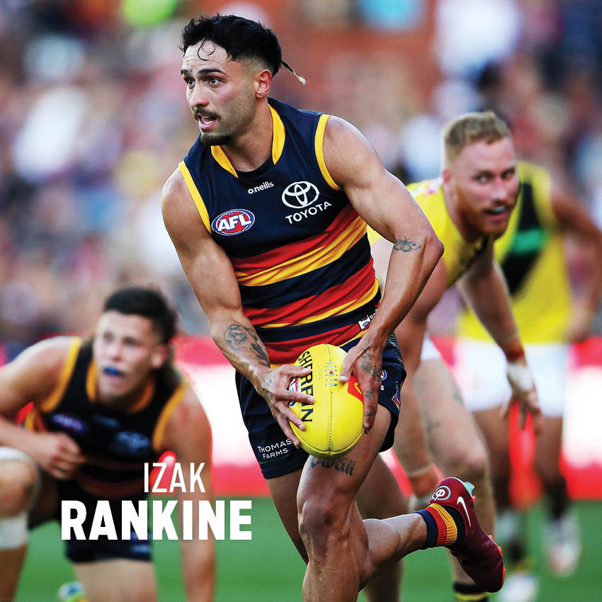 2024 AFL Adelaide Crows - Square Wall Calendar