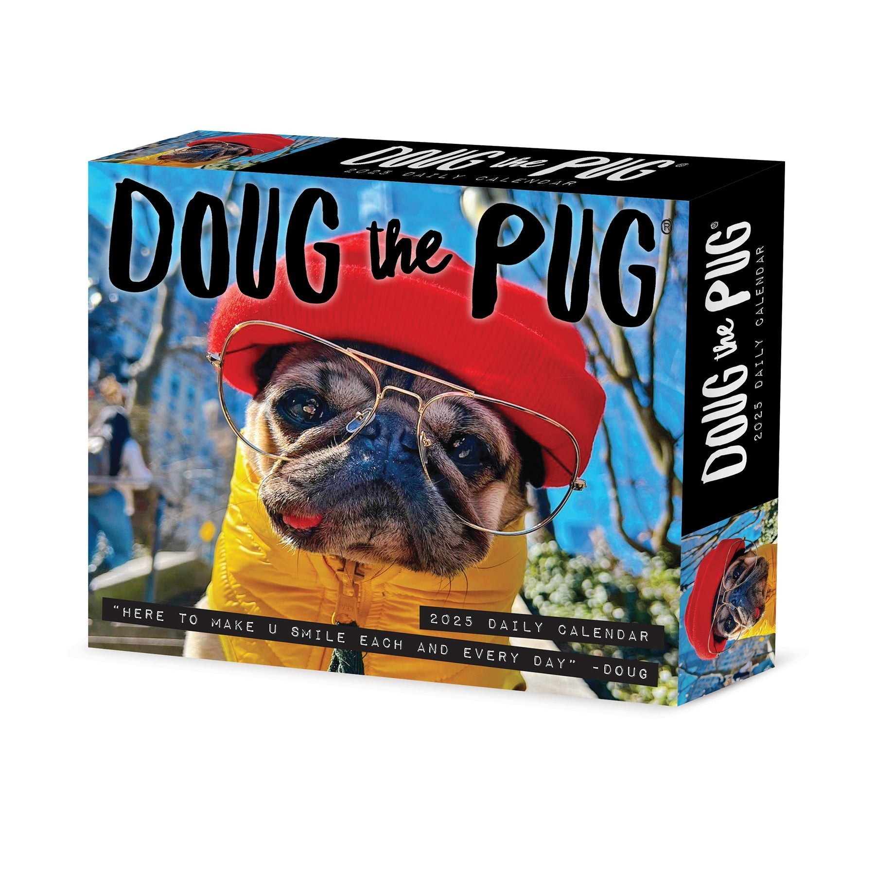 2025 Doug the Pug - USA - Daily Boxed Page-A-Day Calendar (US Only)