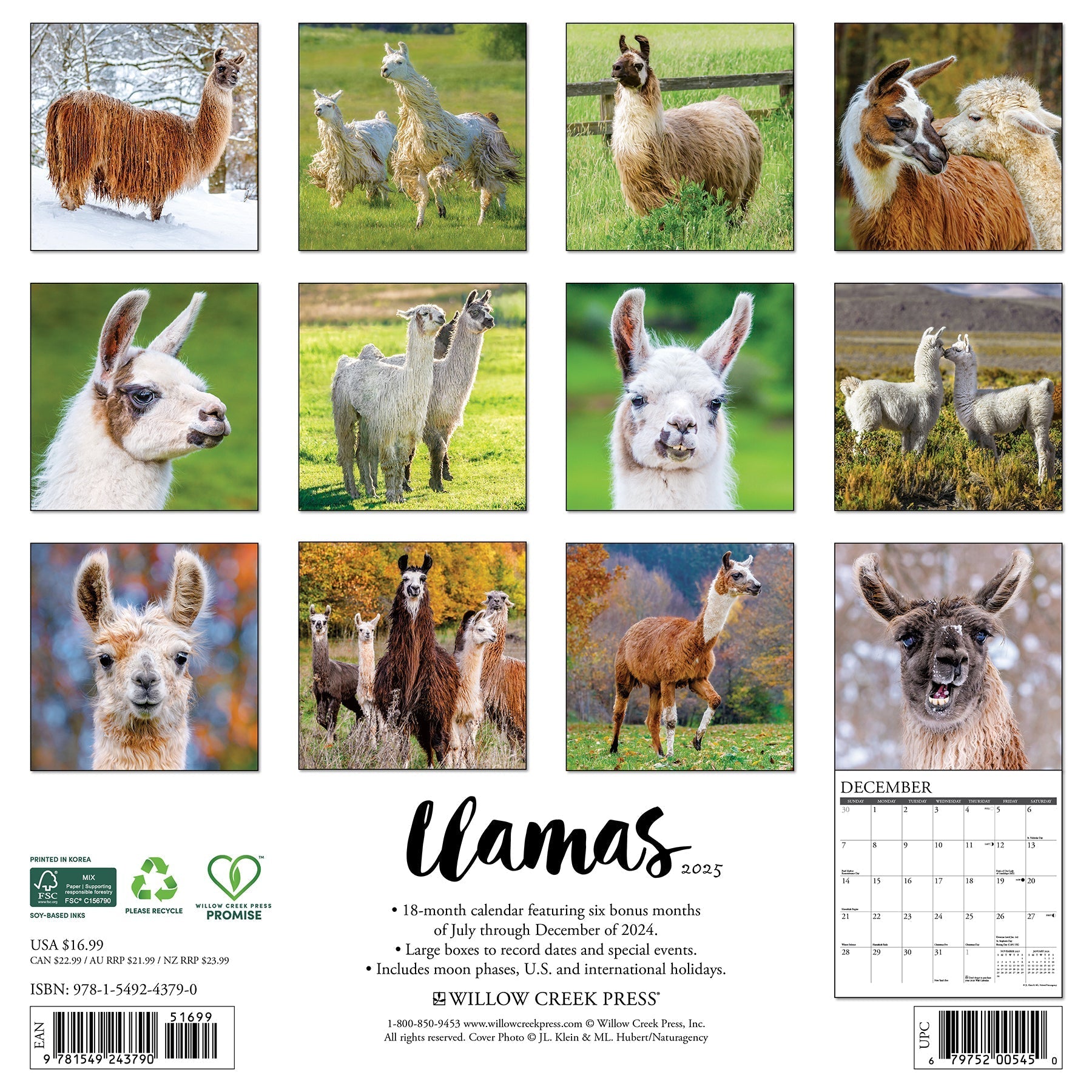 2025 Llamas - Square Wall Calendar (US Only)