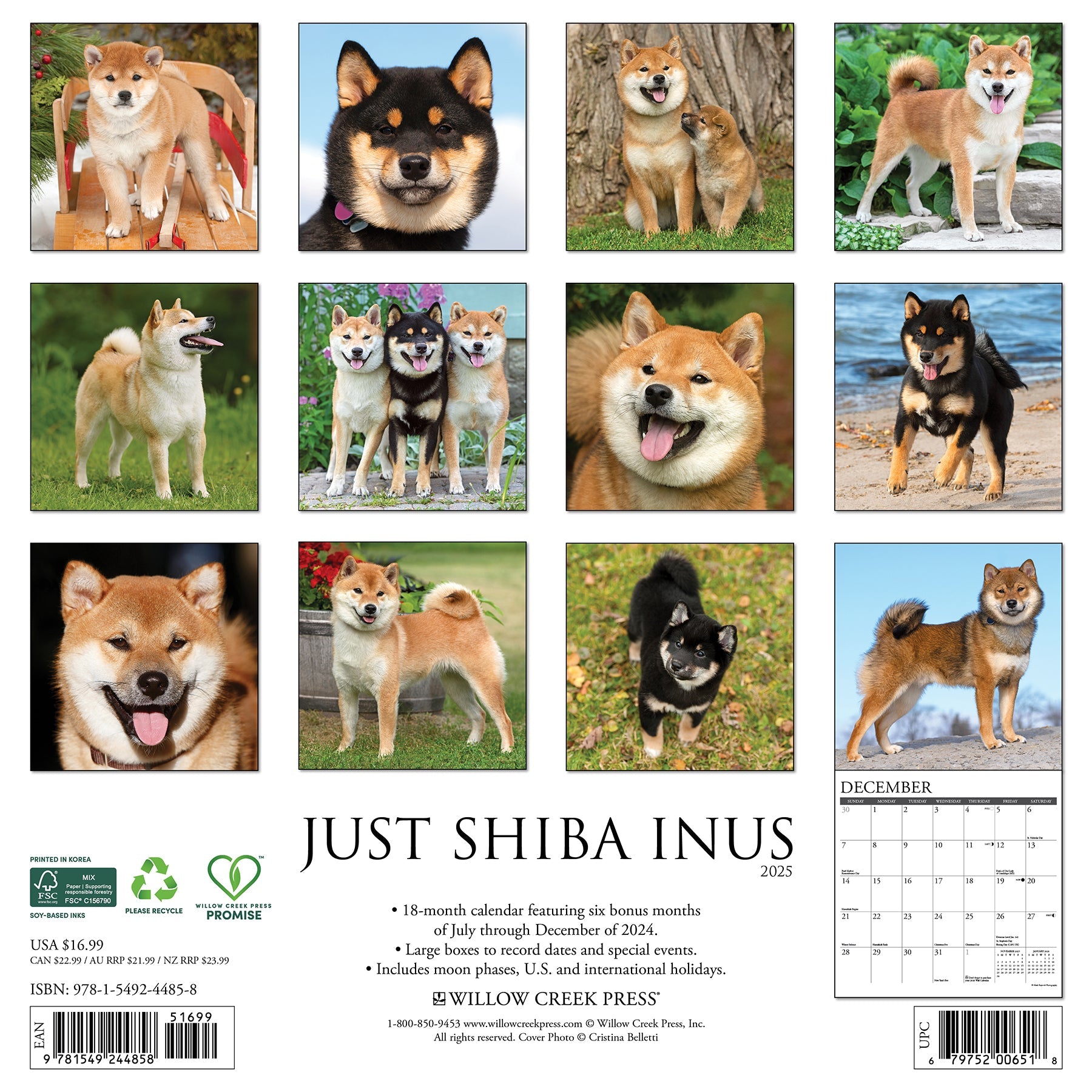 2025 Shiba Inus - Square Wall Calendar (US Only)