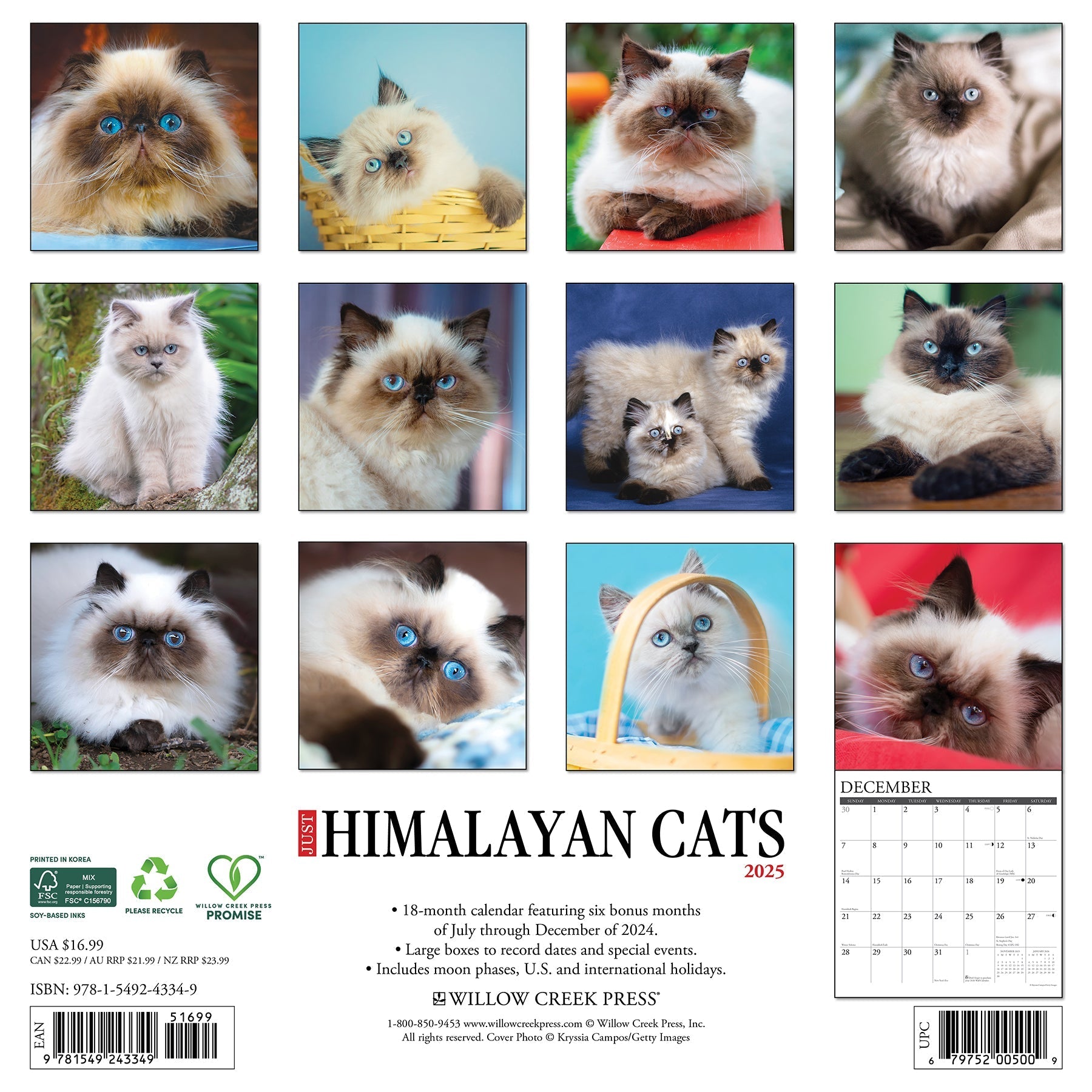 2025 Himalayan Cats - Square Wall Calendar (US Only)