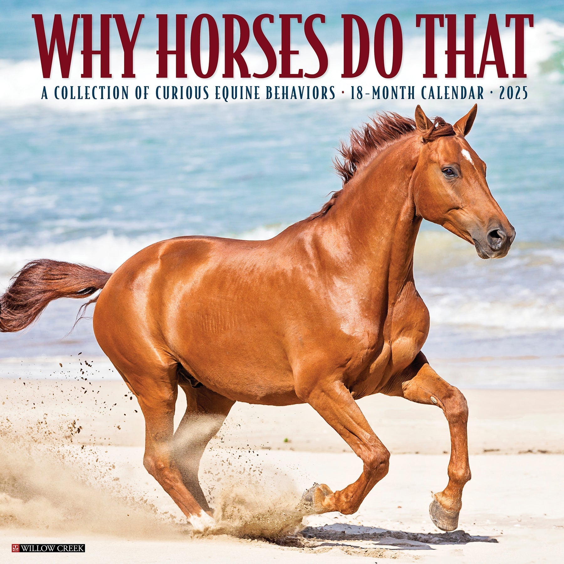 2025 Why Horses Do That - Square Wall Calendar (US Only)