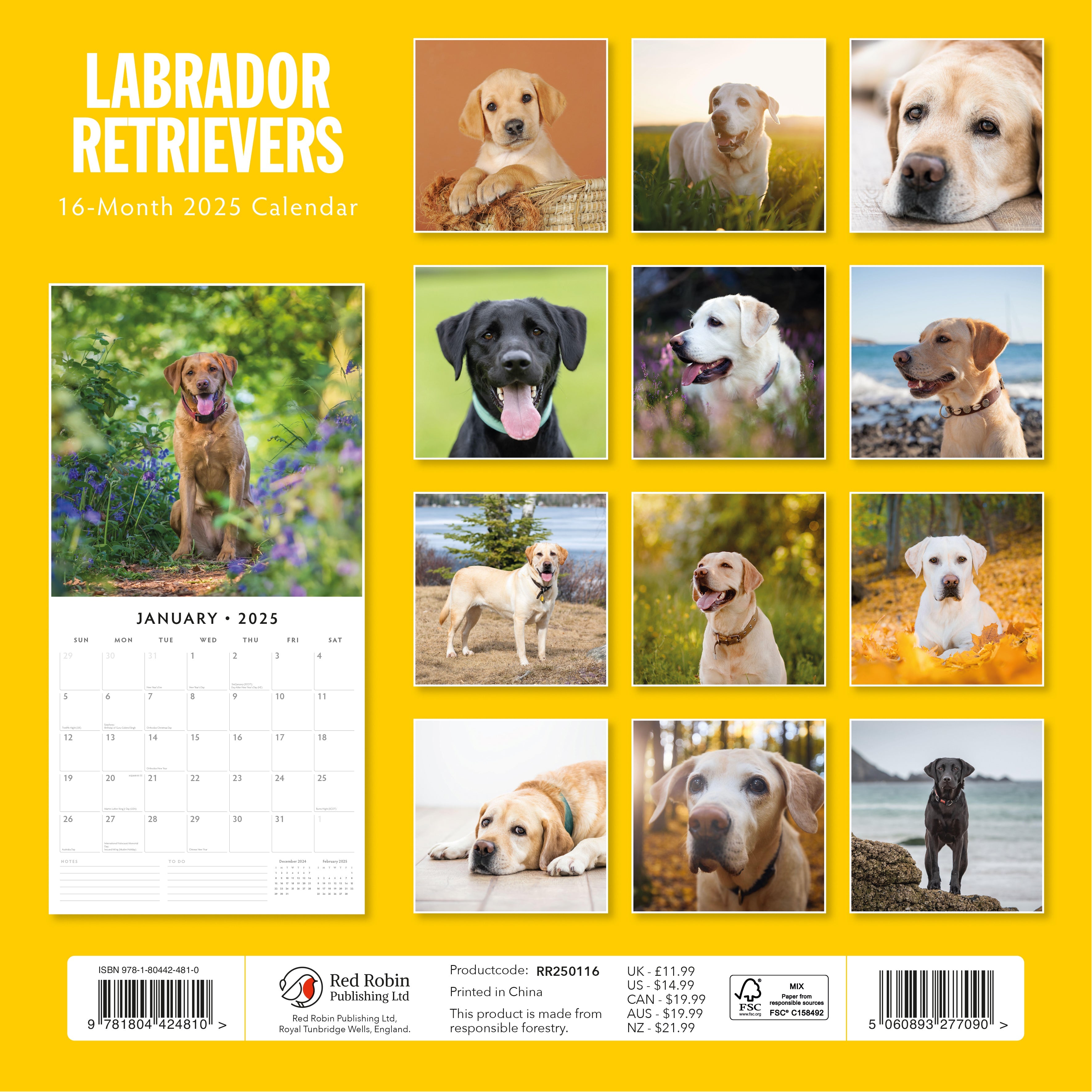 2025 Labrador Retrievers - Square Wall Calendar