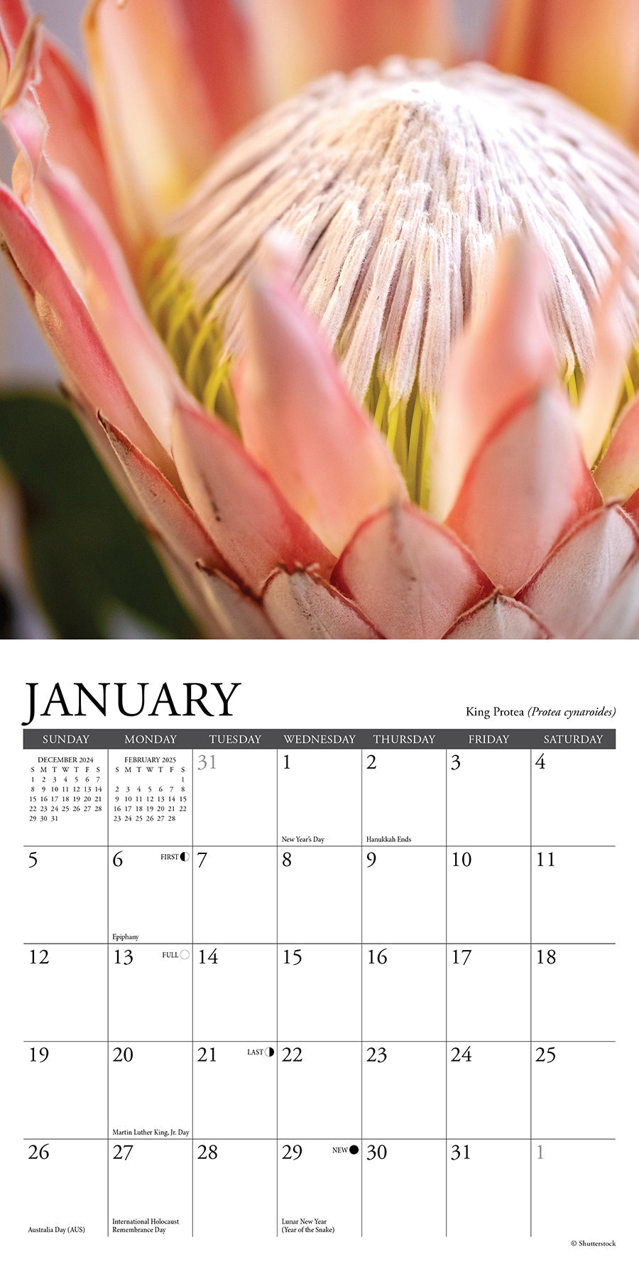 2025 Flowers - Mini Wall Calendar (US Only)