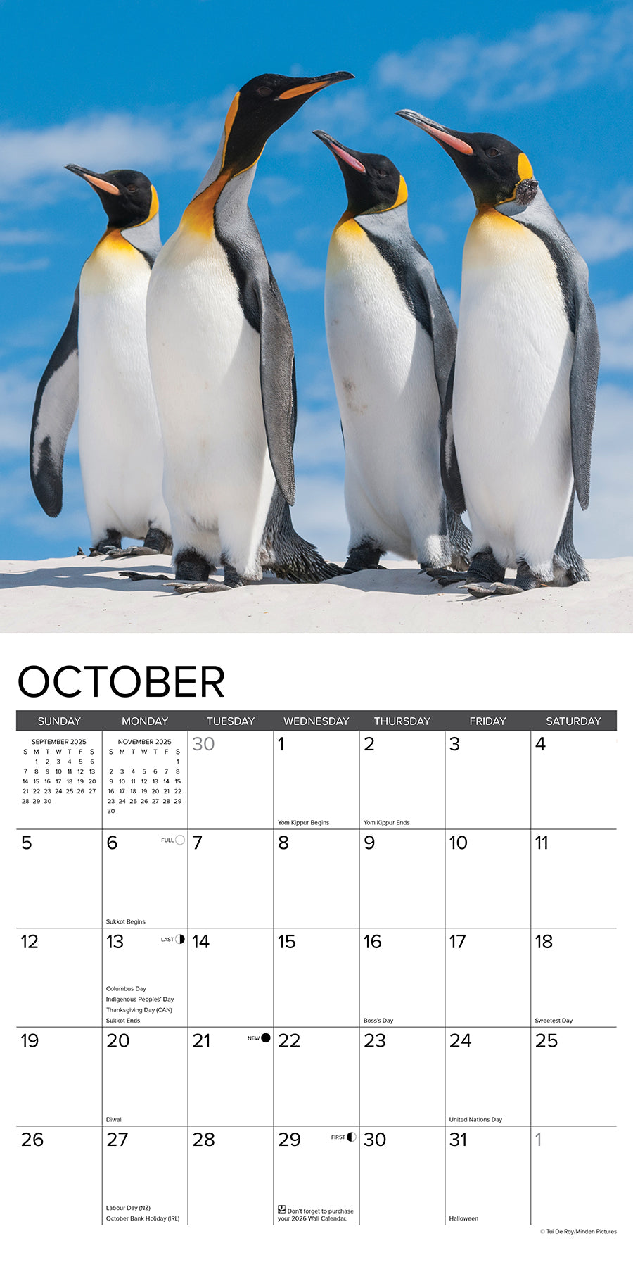 2025 Penguins - Square Wall Calendar (US Only)