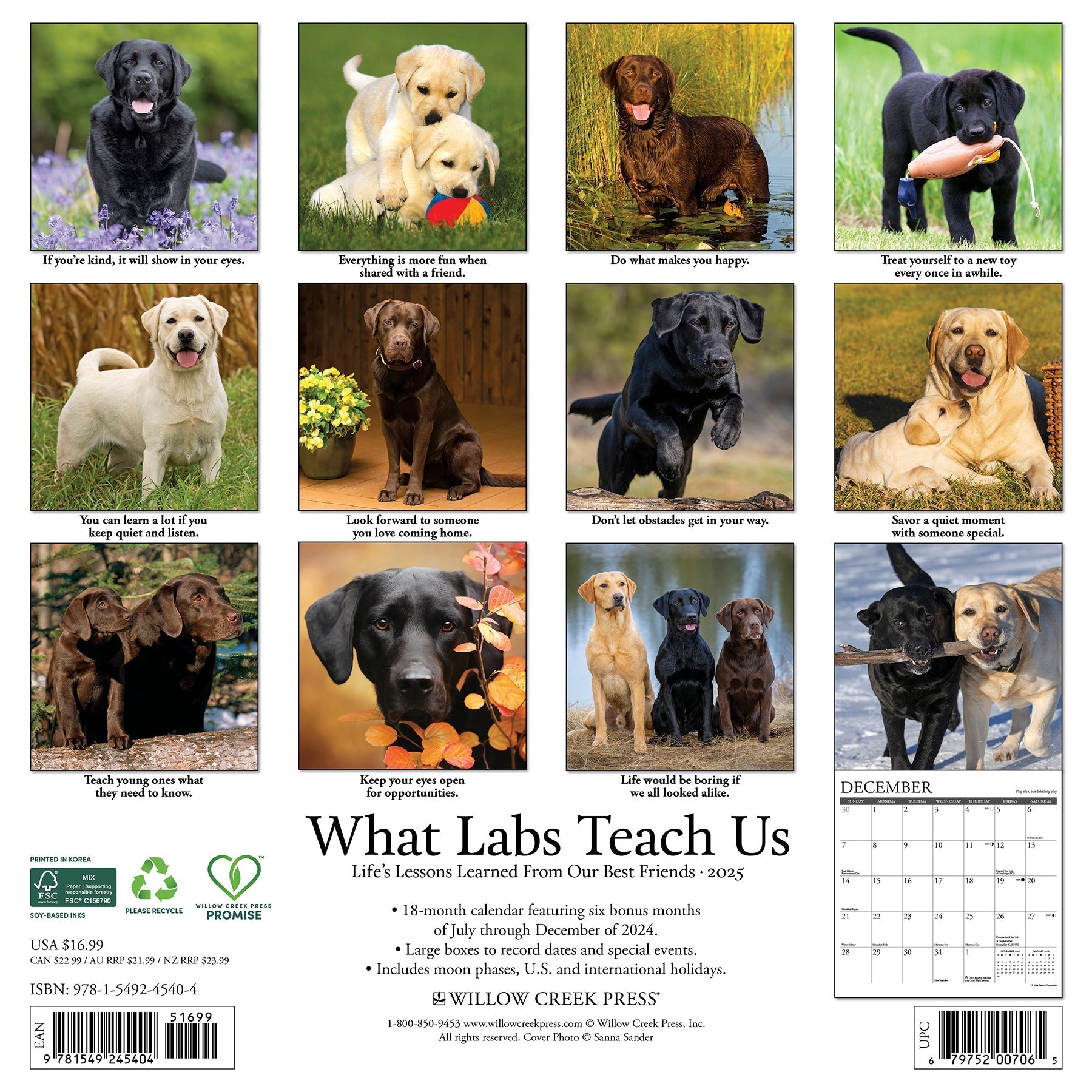 2025 What Labs Teach Us - Square Wall Calendar (US Only)