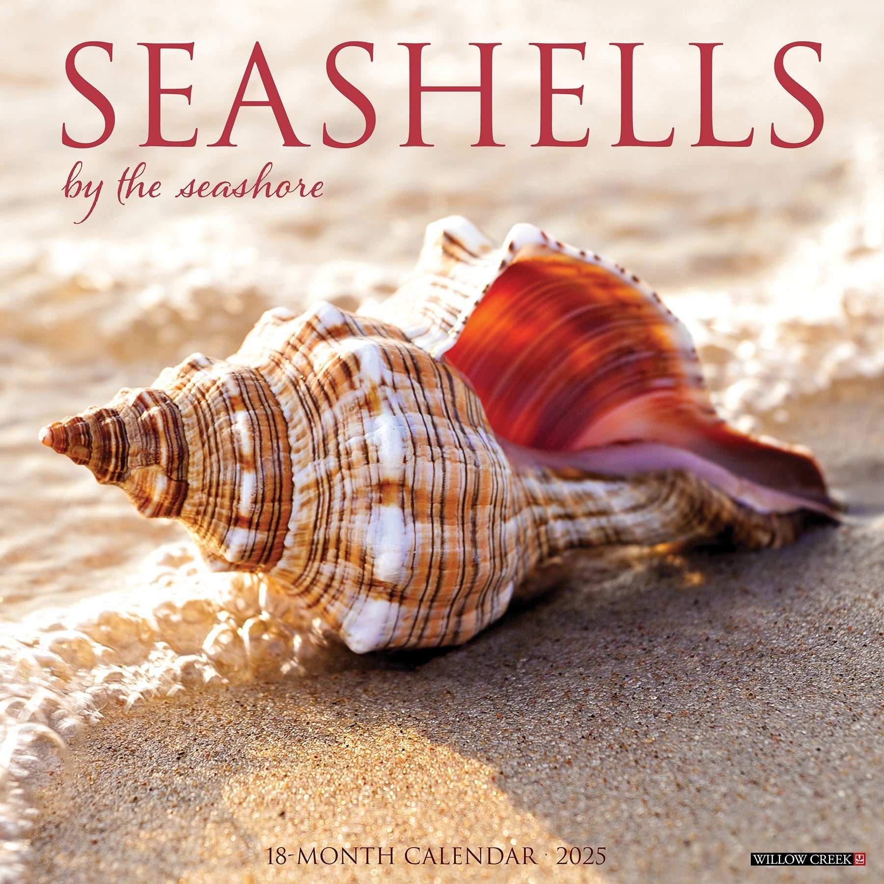 2025 Seashells - Square Wall Calendar (US Only)