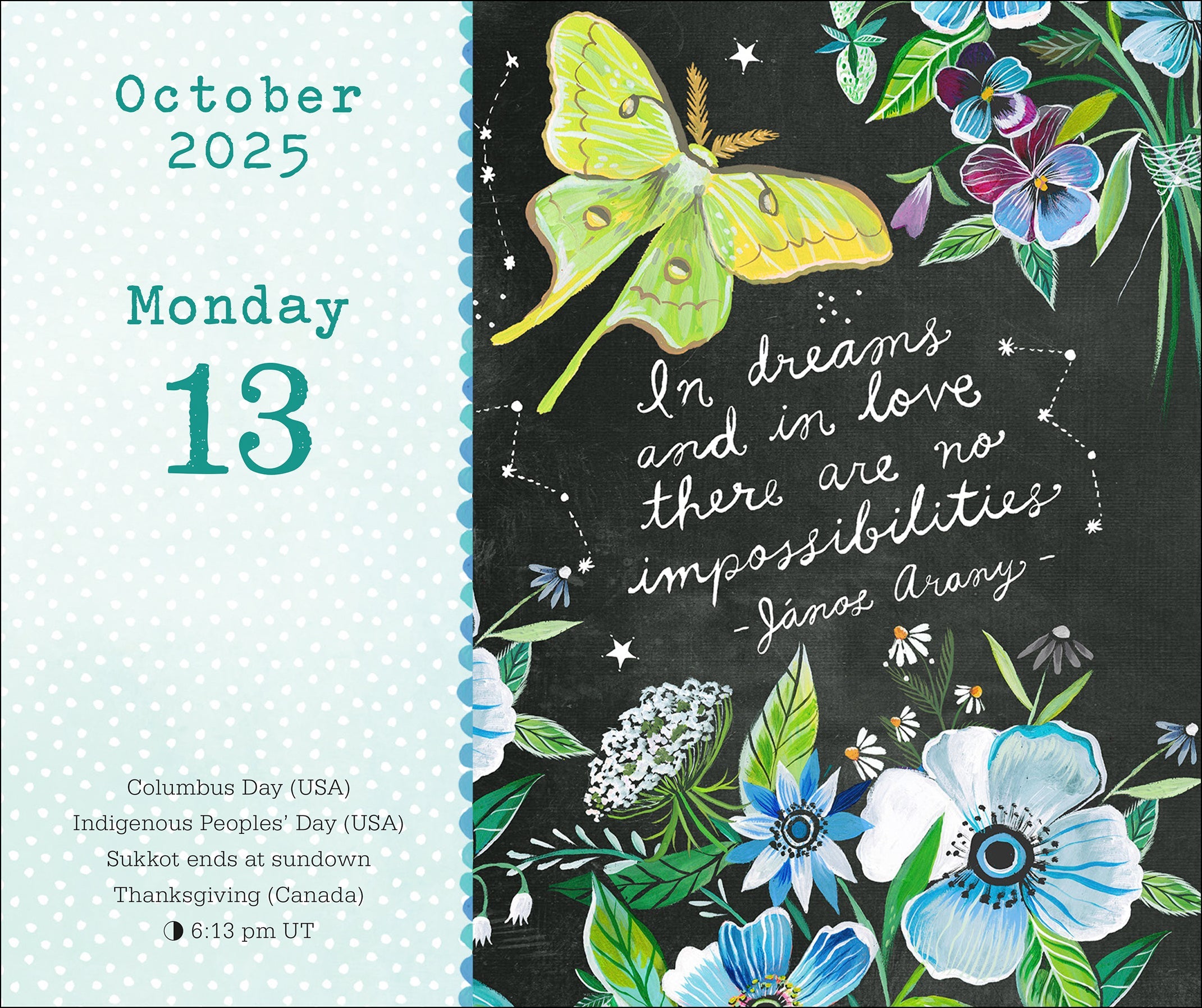 2025 Katie Daisy: Just Bloom - Daily Boxed Page-A-Day Calendar