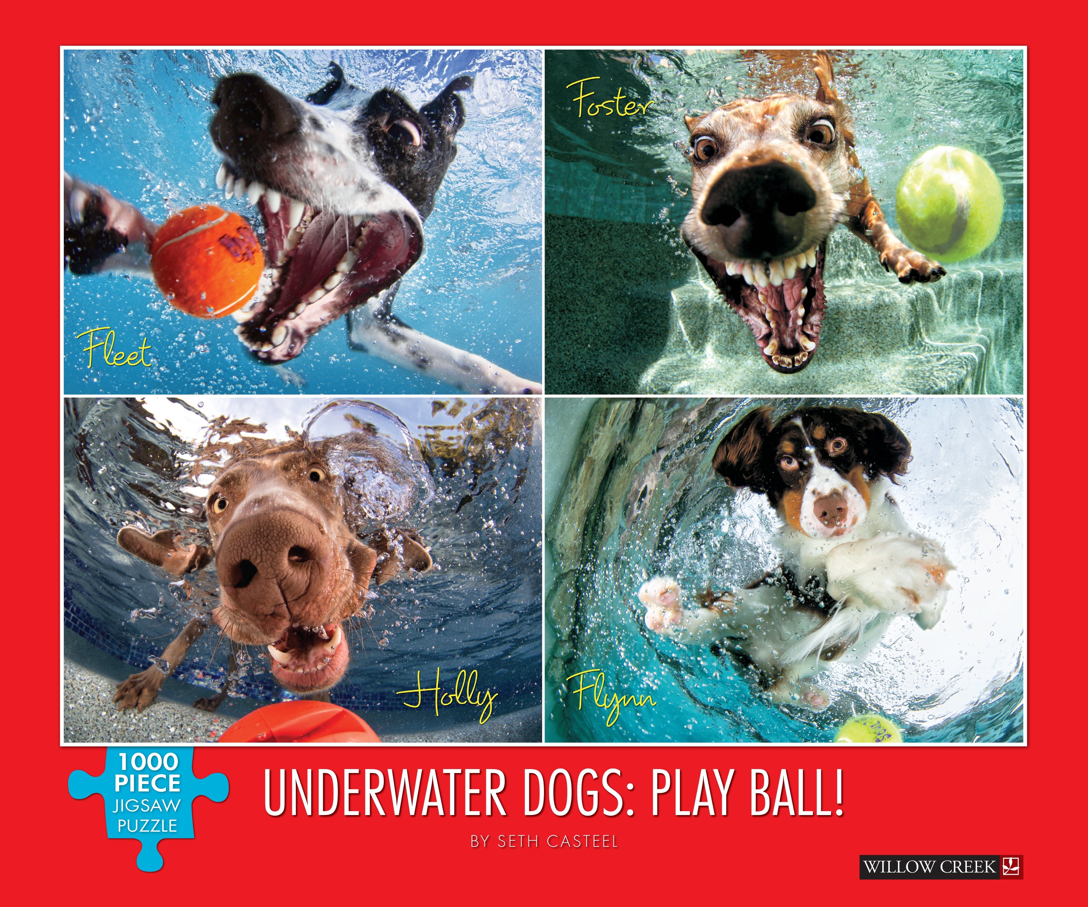 Underwater Dogs: Play Ball 1000 Piece - Jigsaw Puzzle
