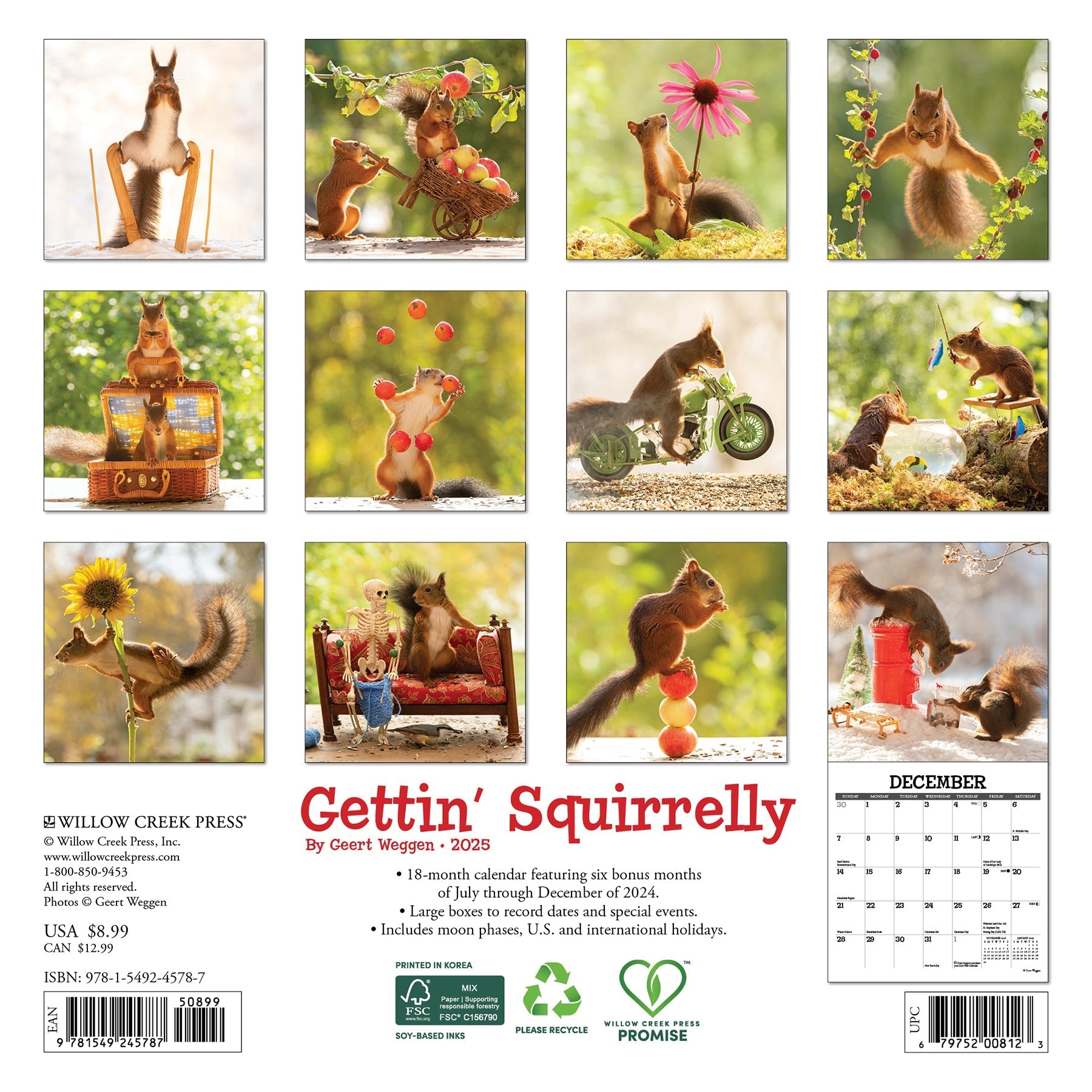 2025 Gettin' Squirrelly - Mini Wall Calendar (US Only)