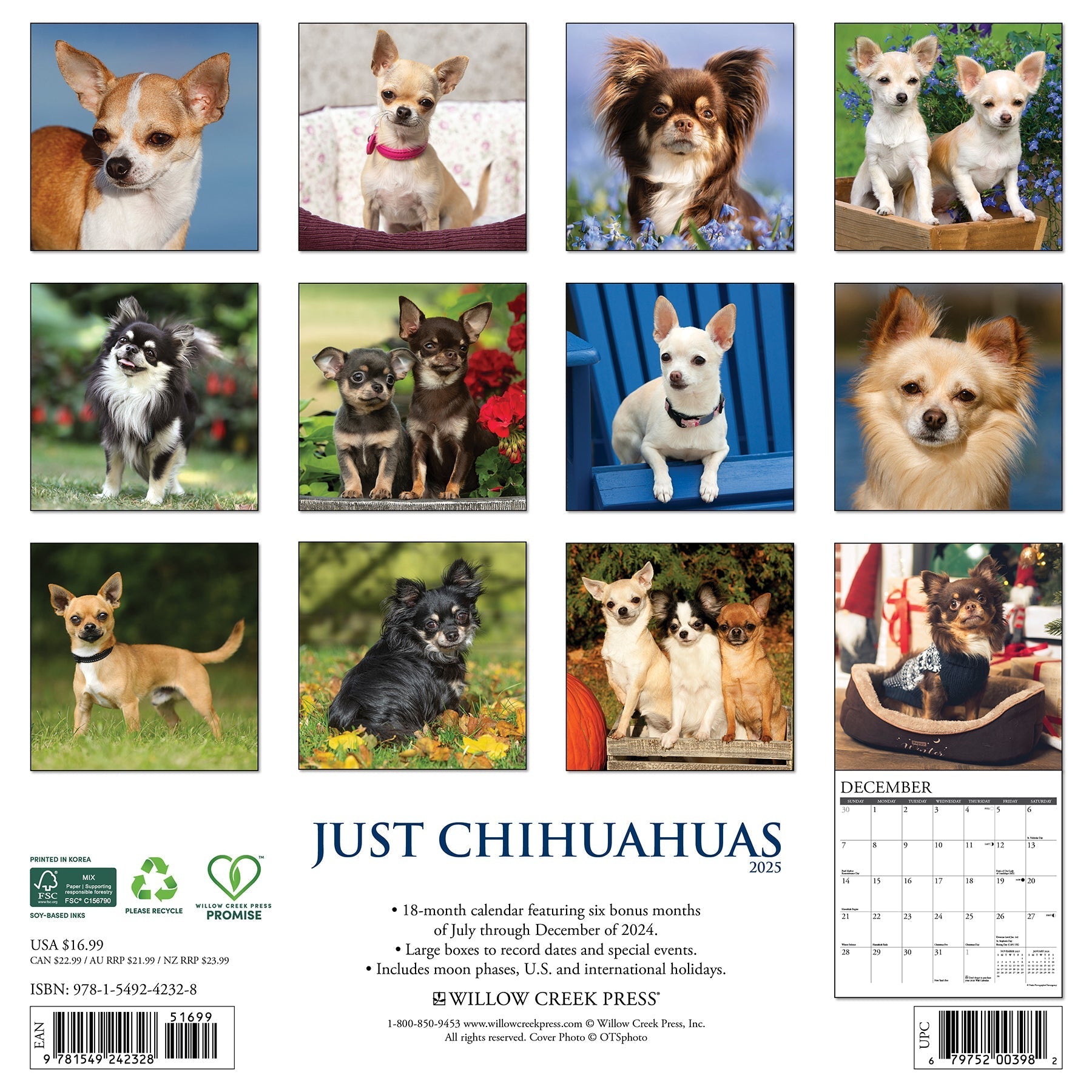 2025 Chihuahuas - Square Wall Calendar (US Only)