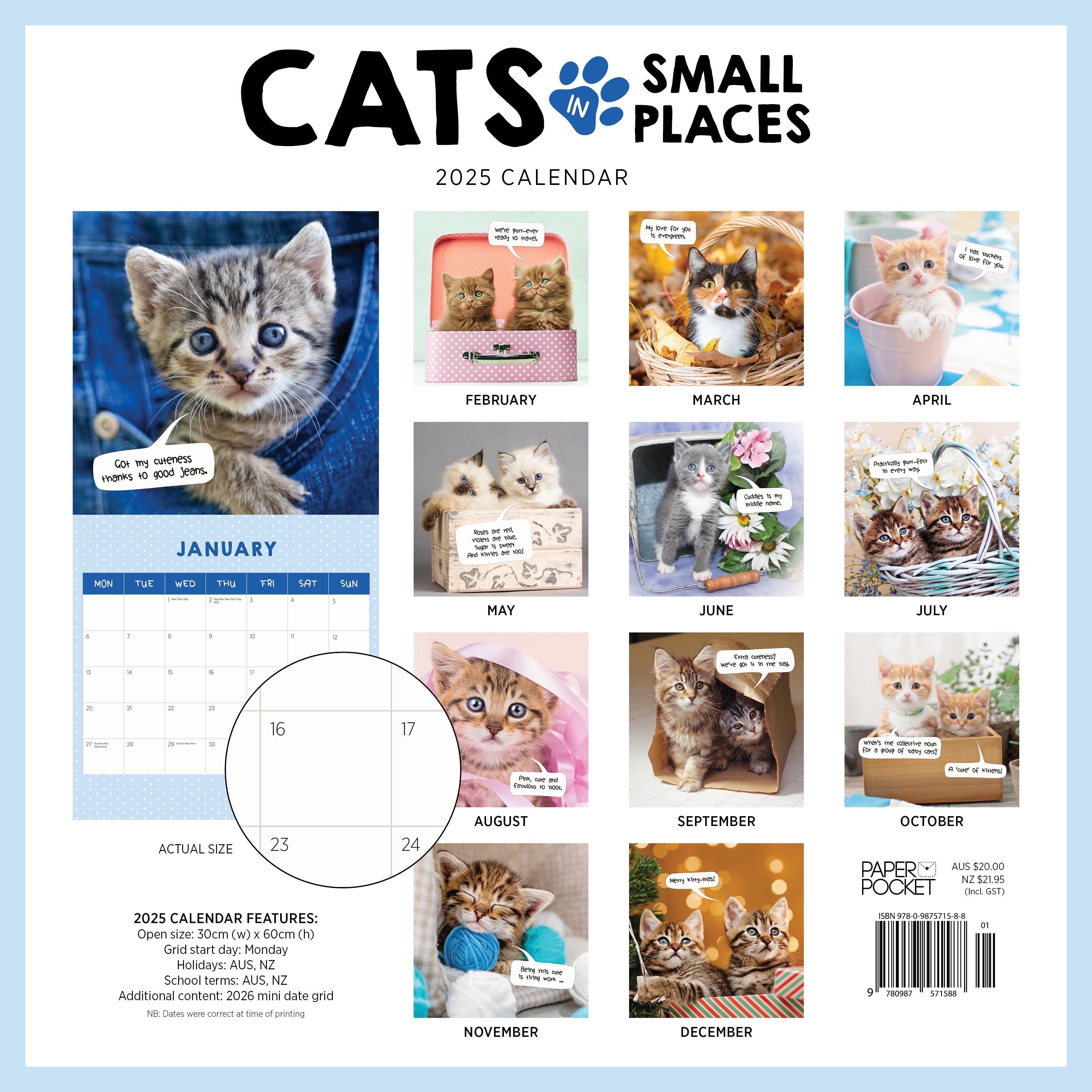 2025 Cats In Small Places - Square Wall Calendar