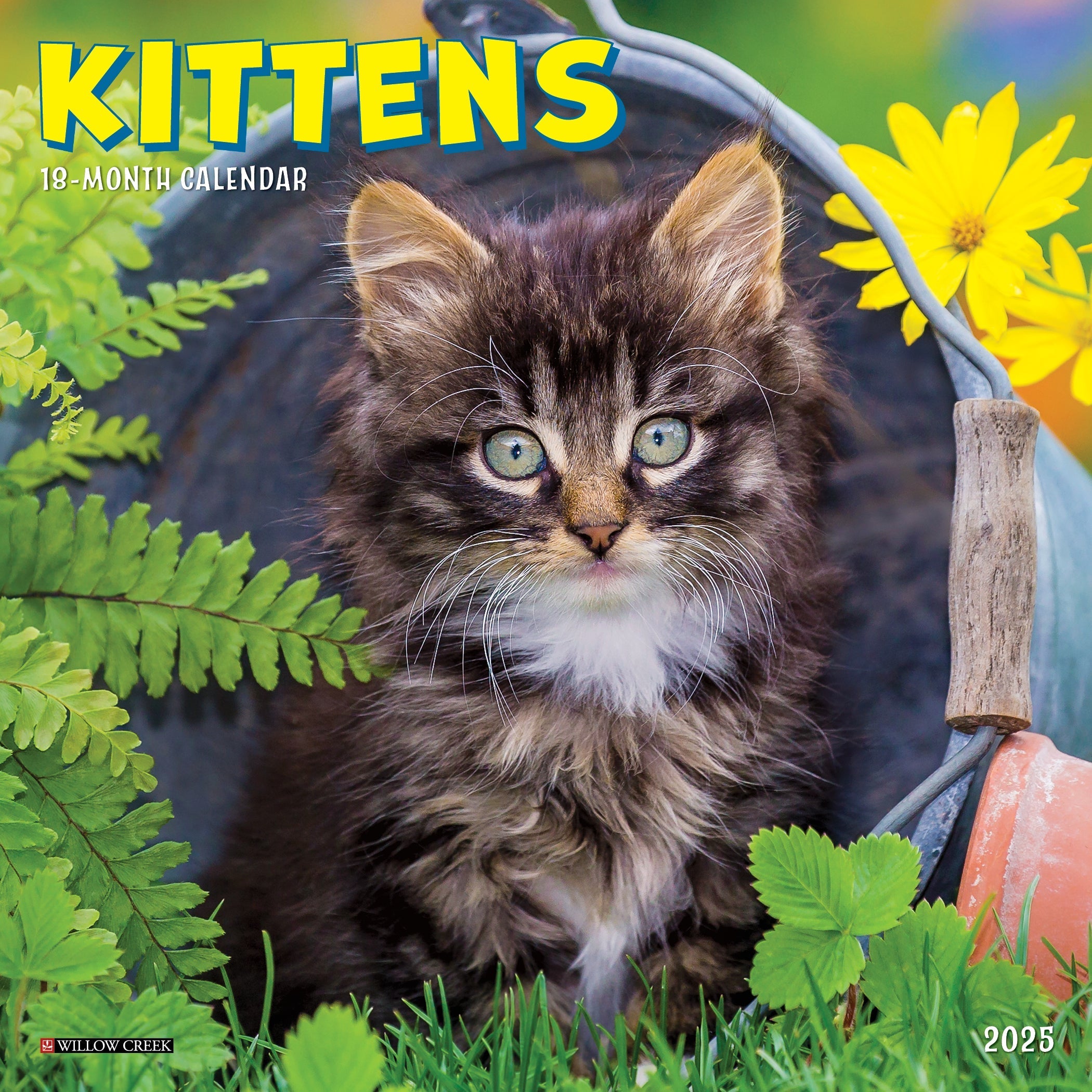 2025 Kittens - Mini Wall Calendar (US Only)