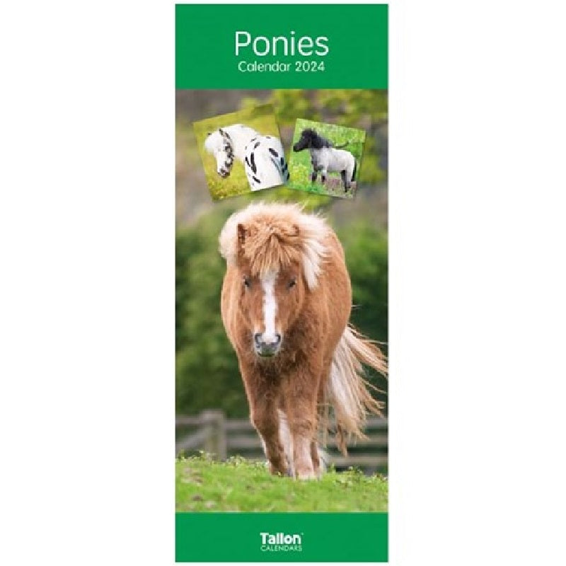 2024 Ponies Super Slim Wall Calendar