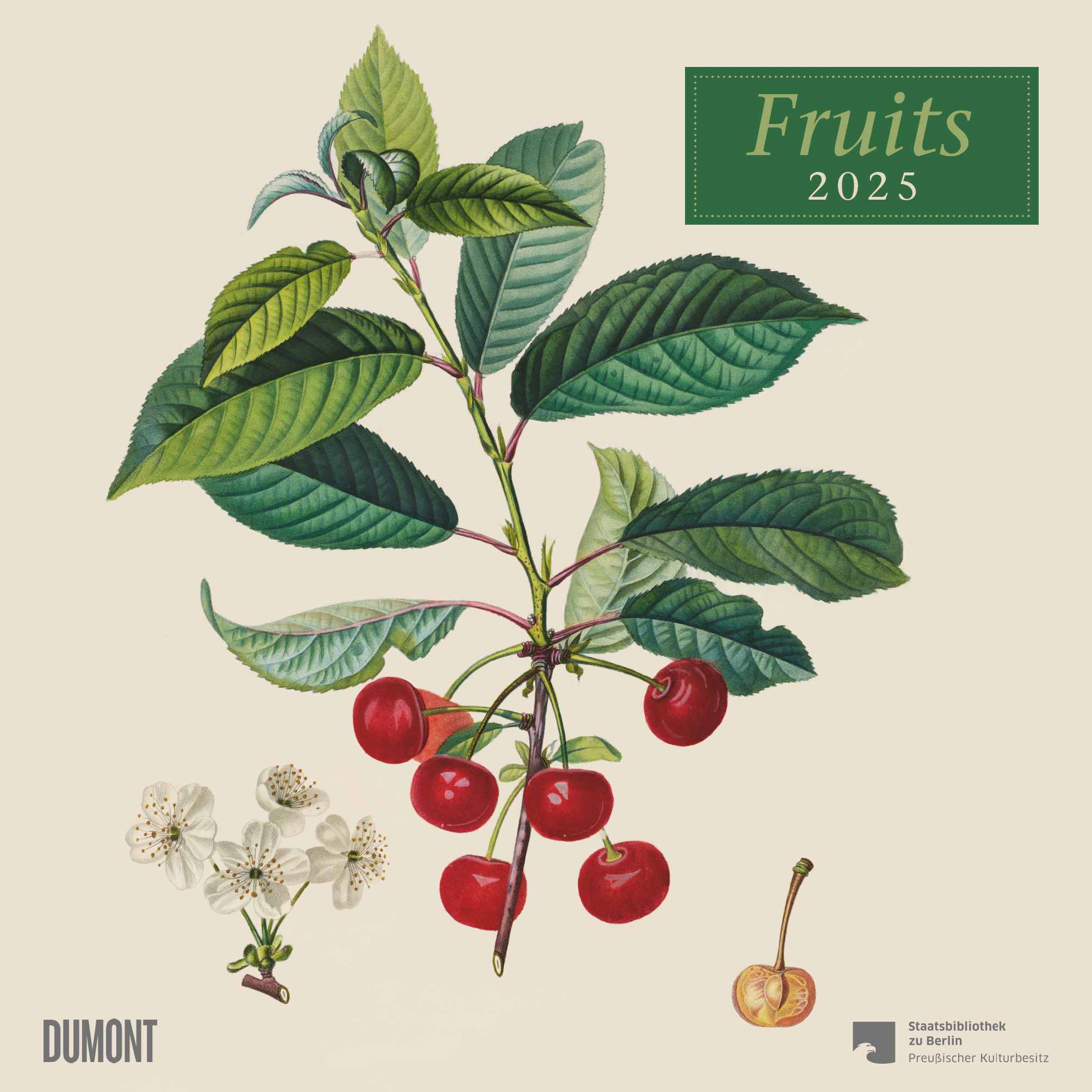 2025 Fruits - Square Wall Calendar