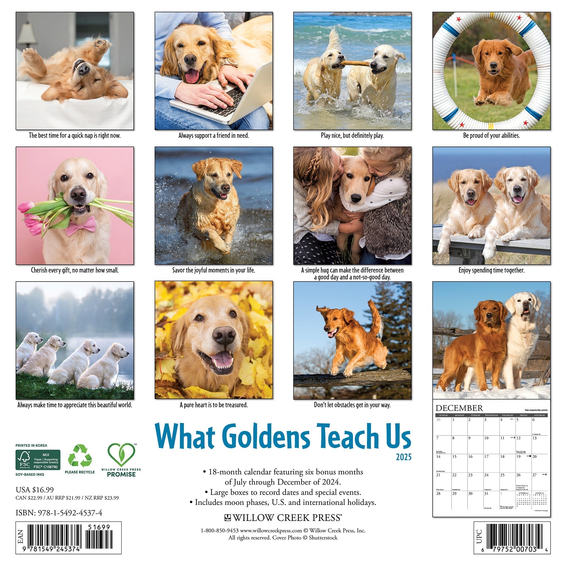 2025 What Goldens Teach Us - Square Wall Calendar (US Only)