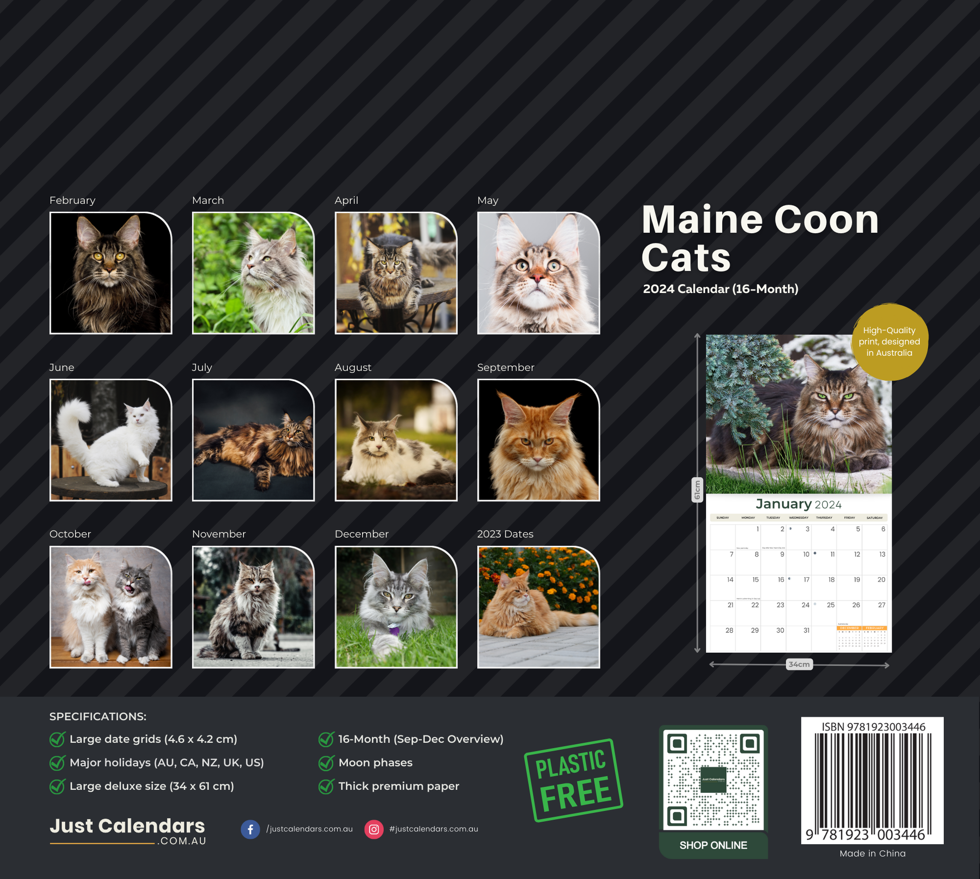 2024 Maine Coon Cats - Deluxe Wall Calendar - Cats & Kittens Calendars