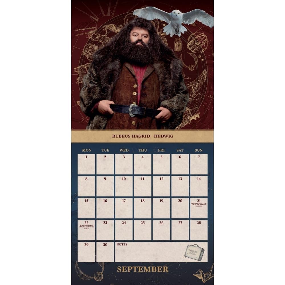 2025 Harry Potter - Mini Wall Calendar