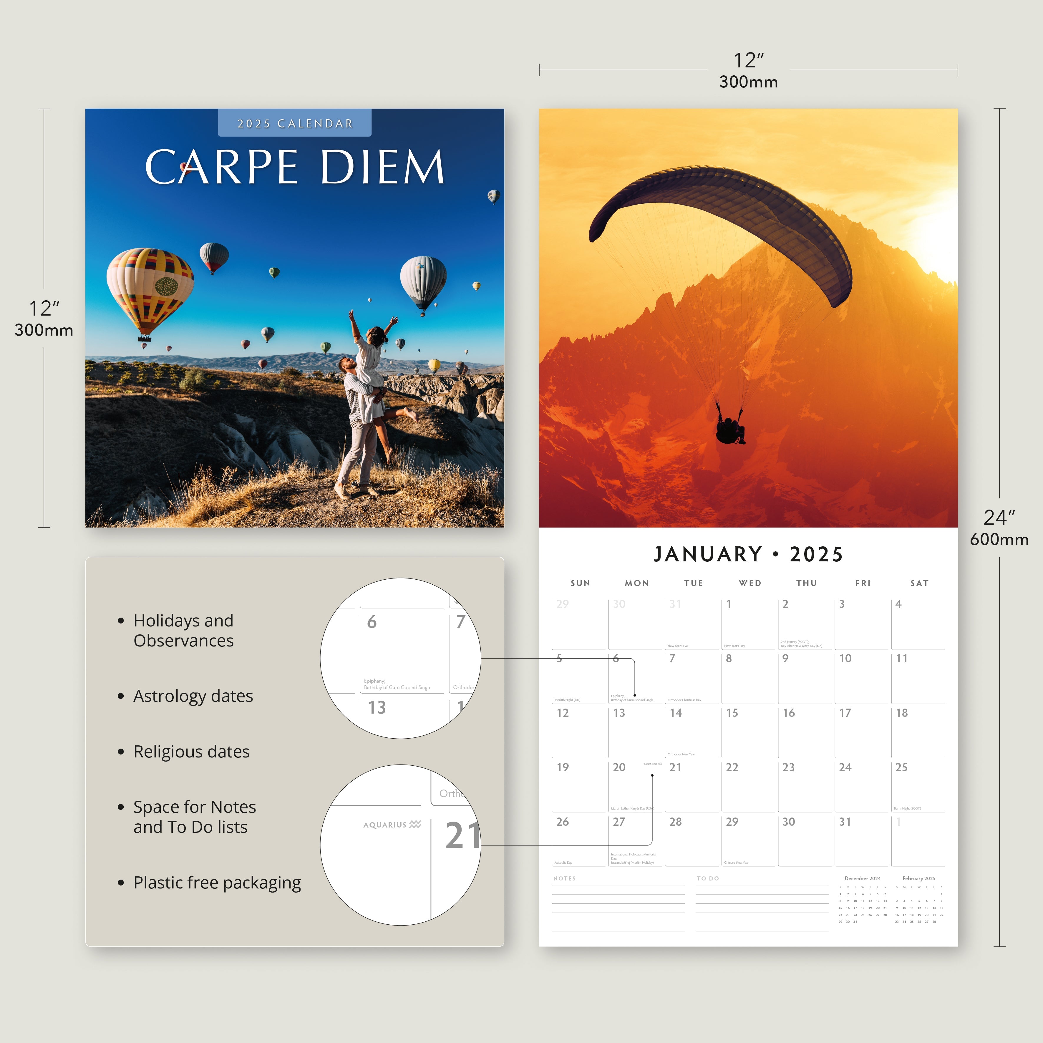 2025 Carpe Diem - Square Wall Calendar