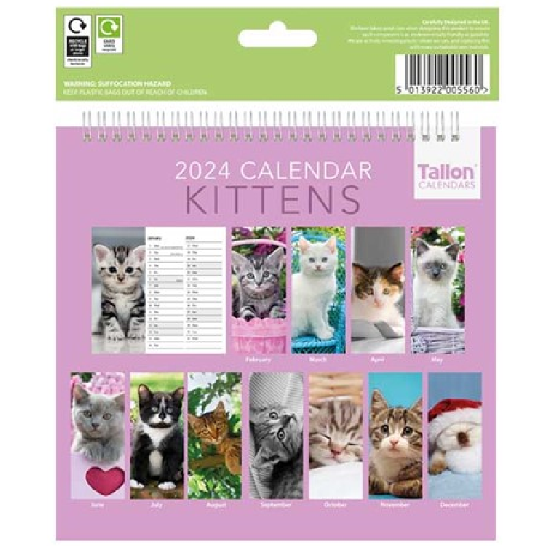 2024 Kittens - Desk Easel Calendar  SOLD OUT