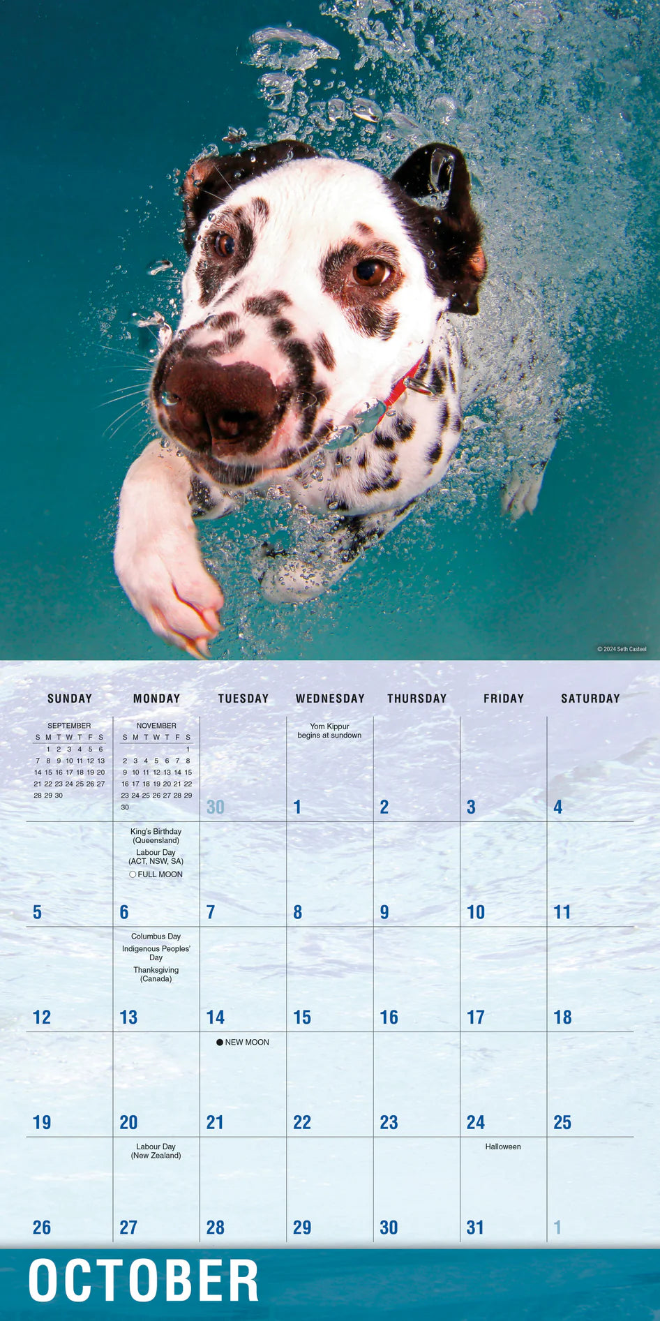 2025 Underwater Dogs - Square Wall Calendar