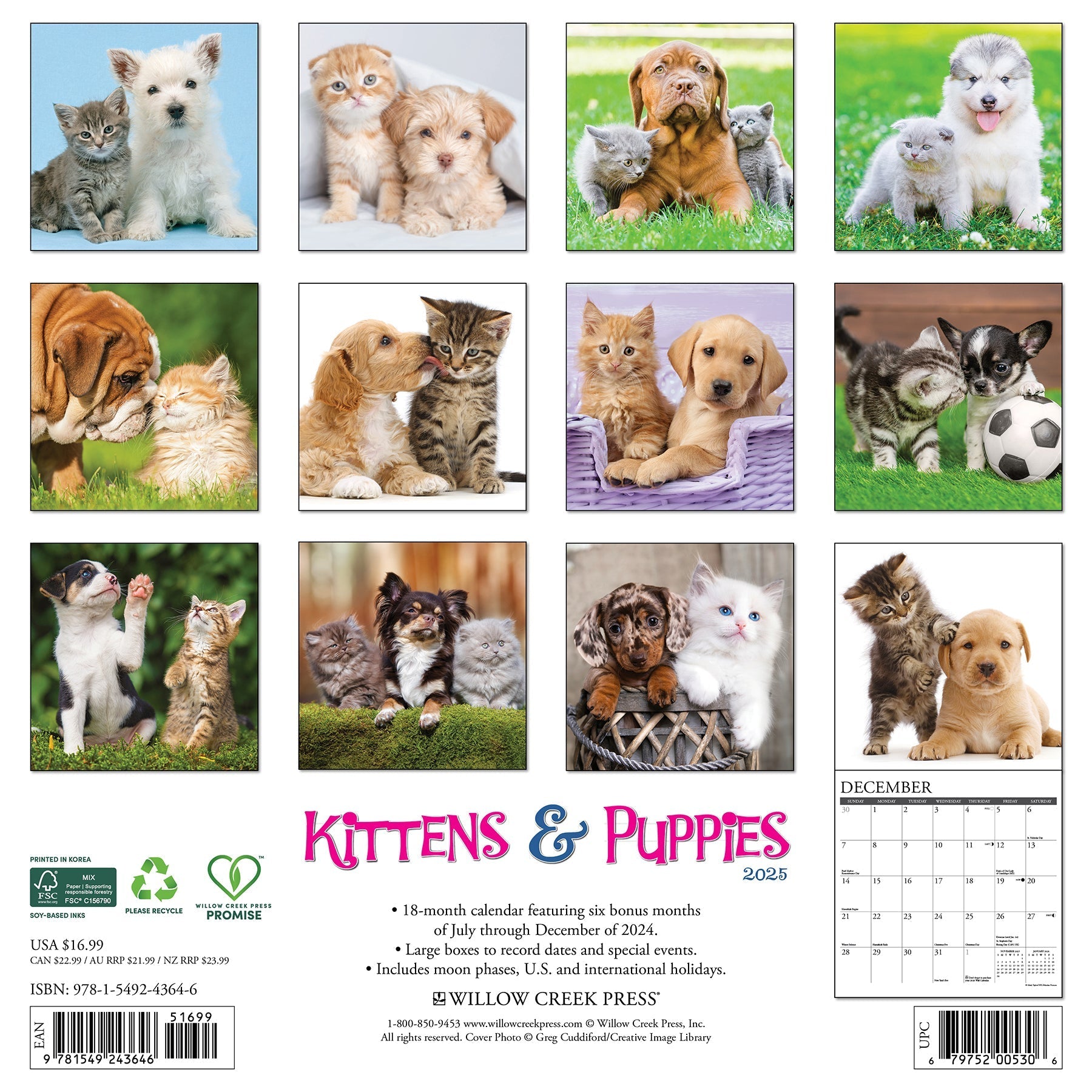 2025 Kittens & Puppies - Square Wall Calendar (US Only)