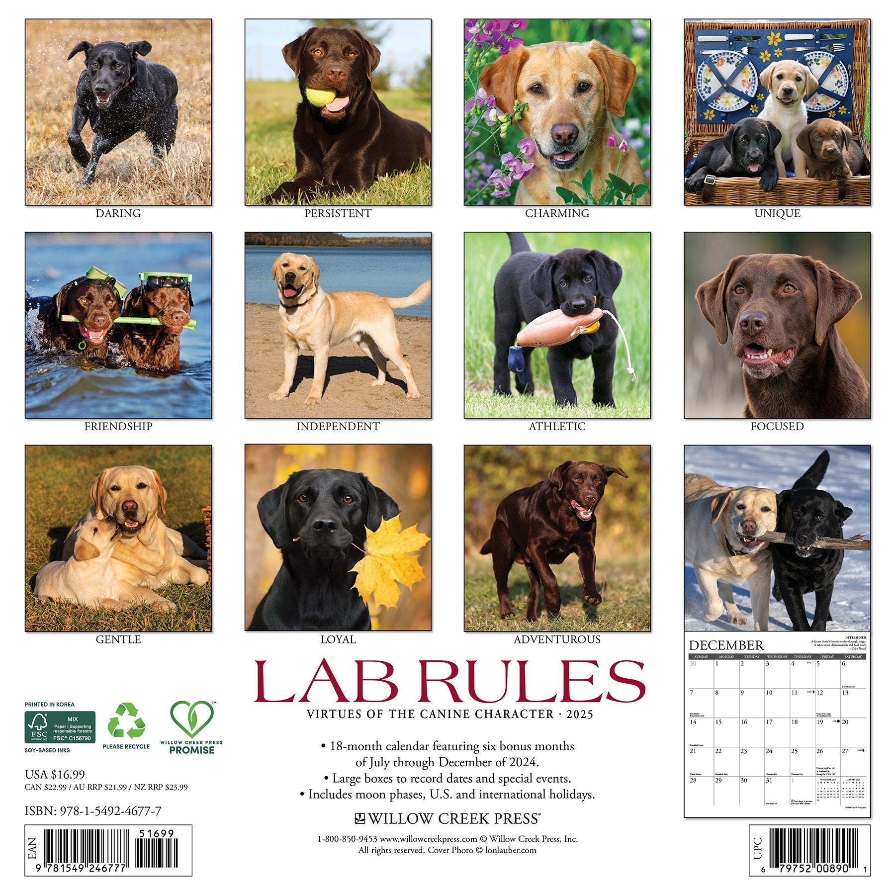 2025 Lab Rules - Square Wall Calendar (US Only)