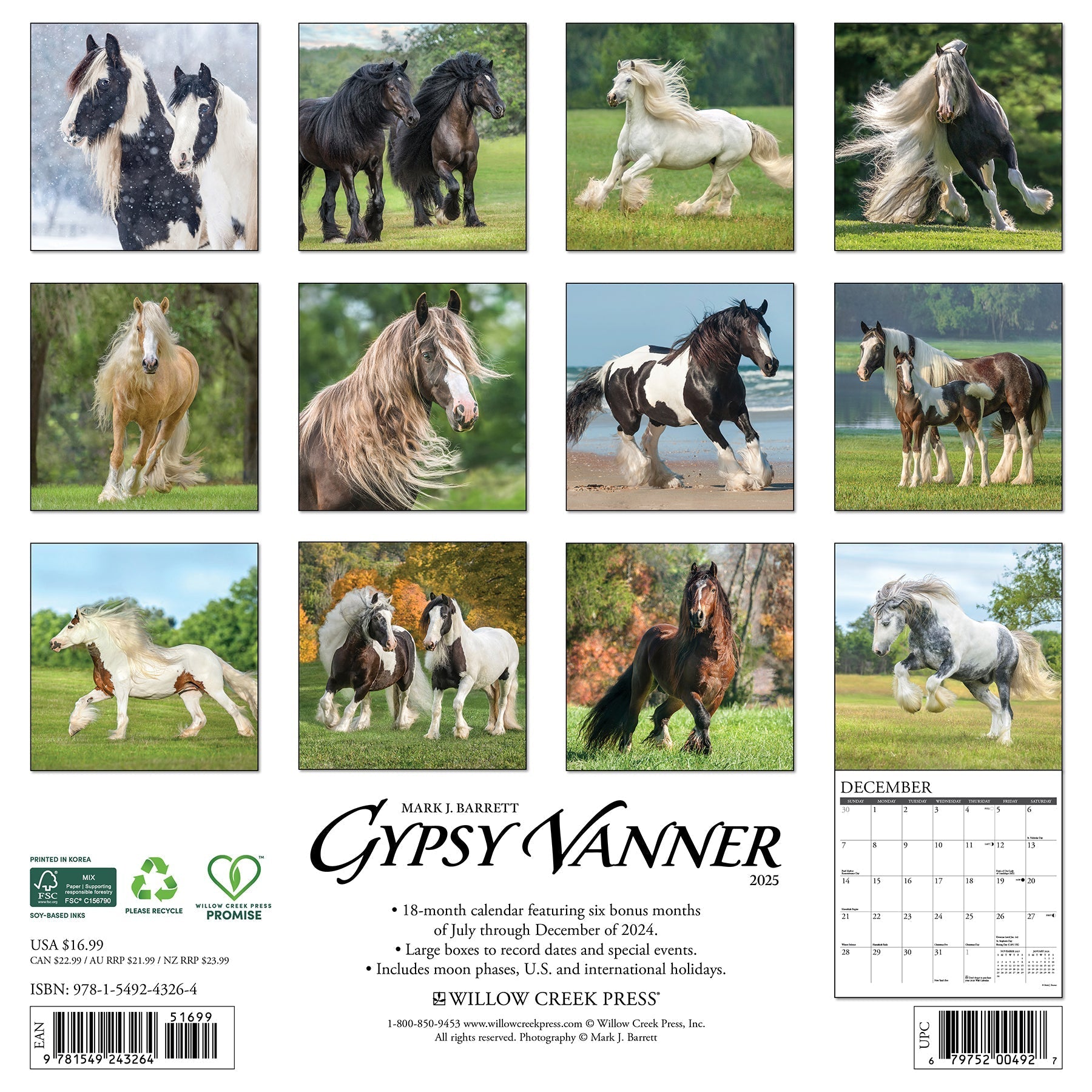 2025 Gypsy Vanner Horse - Square Wall Calendar (US Only)