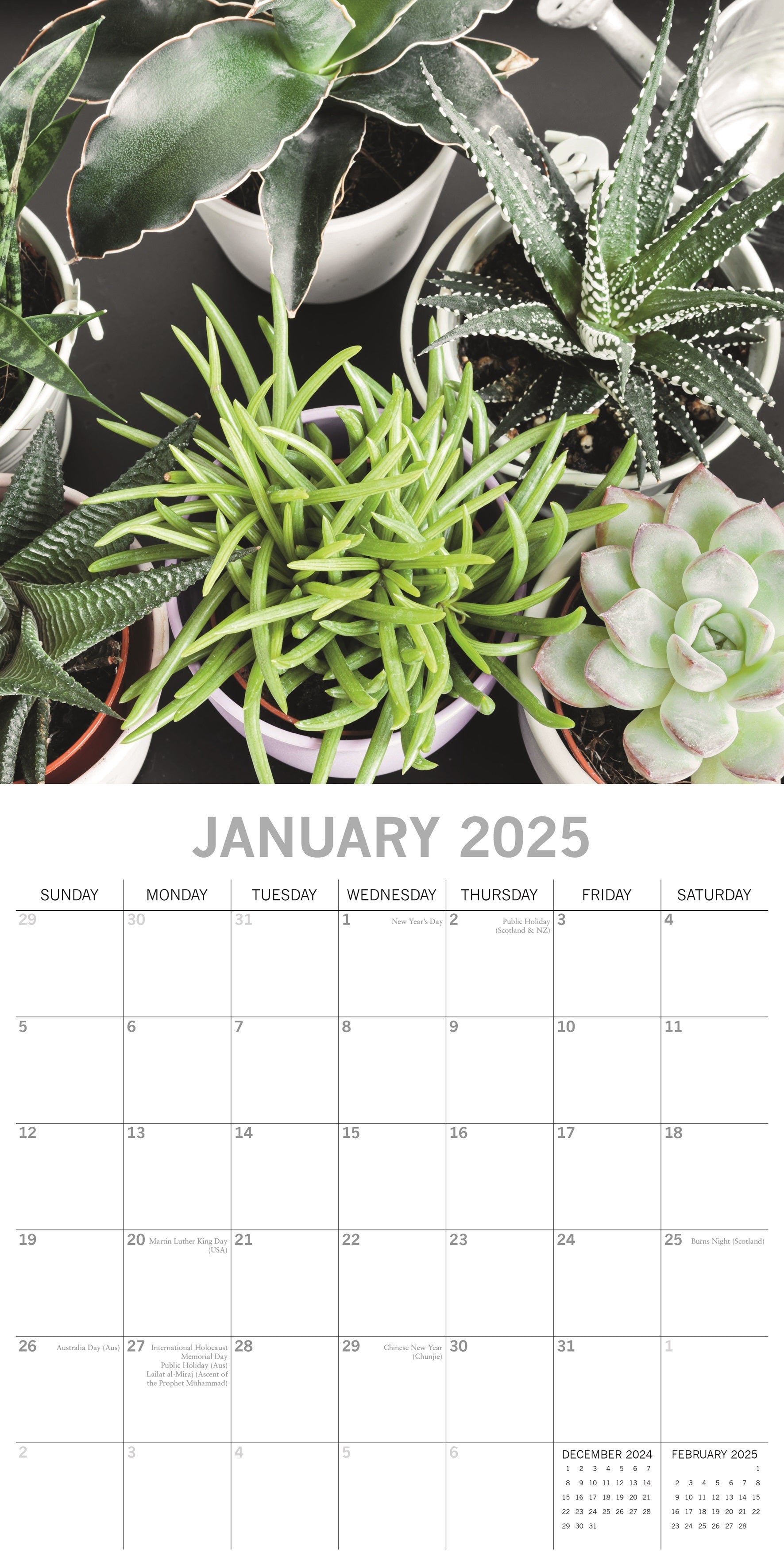 2025 House Plants - Square Wall Calendar
