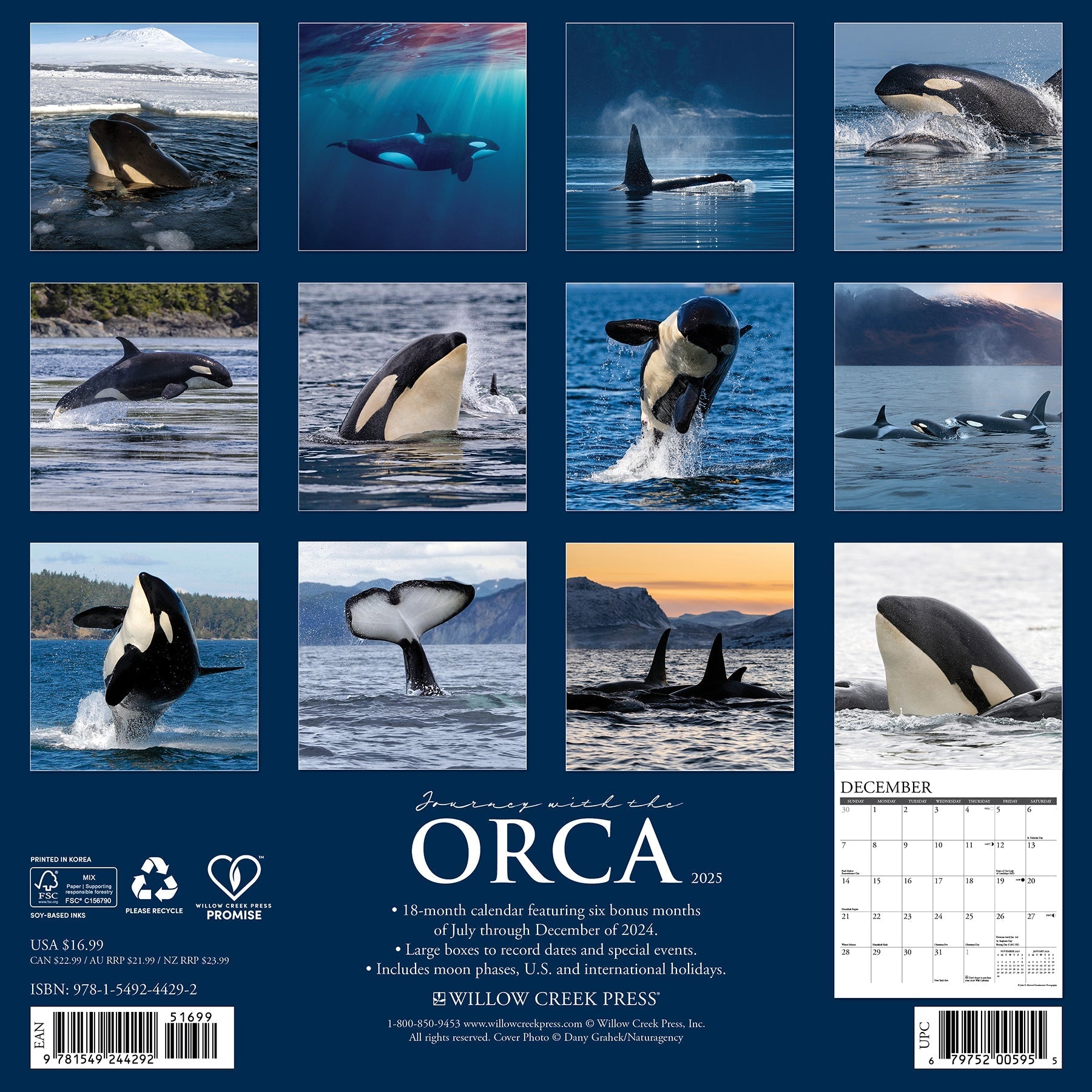 2025 Orca (Journey With the) - Square Wall Calendar (US Only)