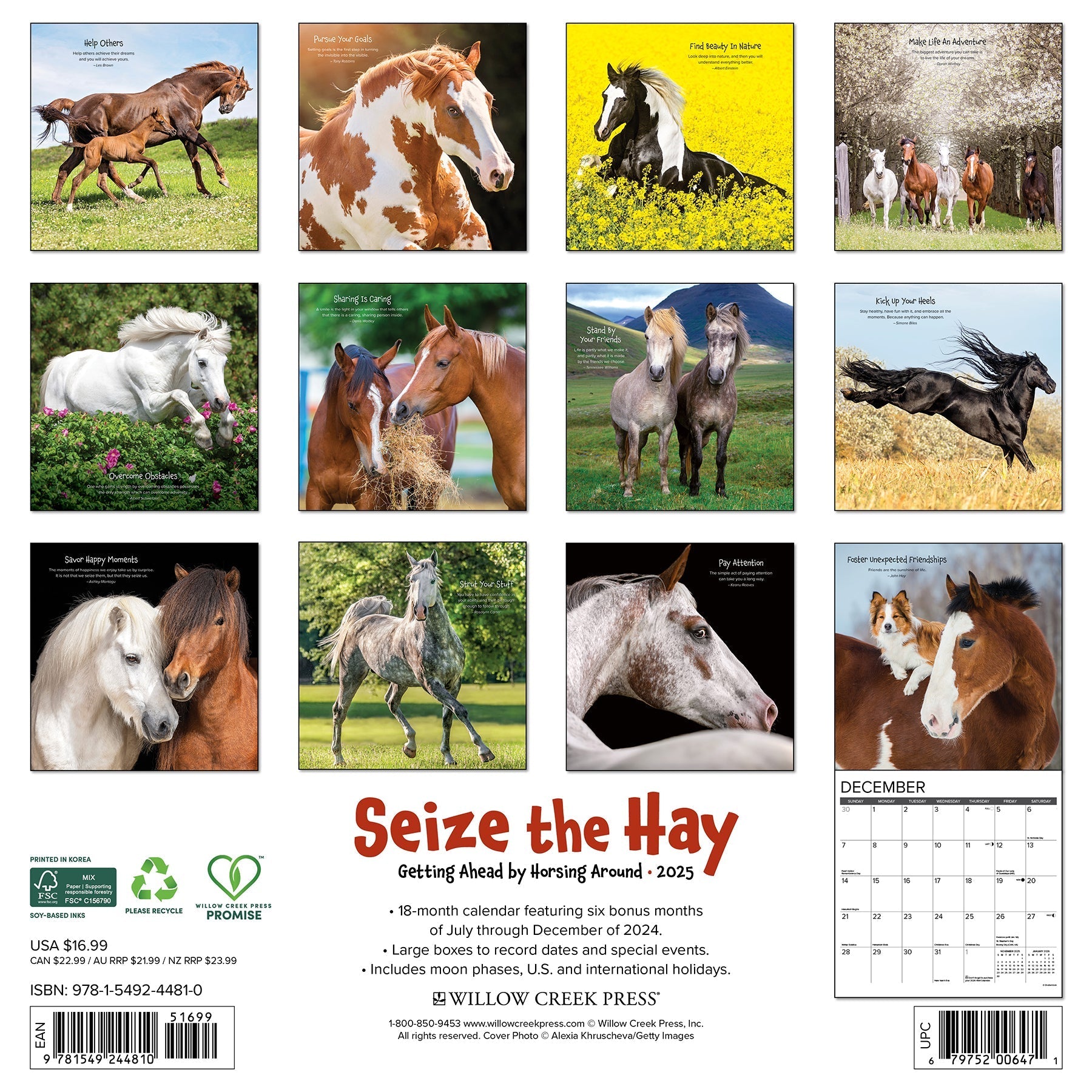 2025 Seize the Hay - Square Wall Calendar (US Only)