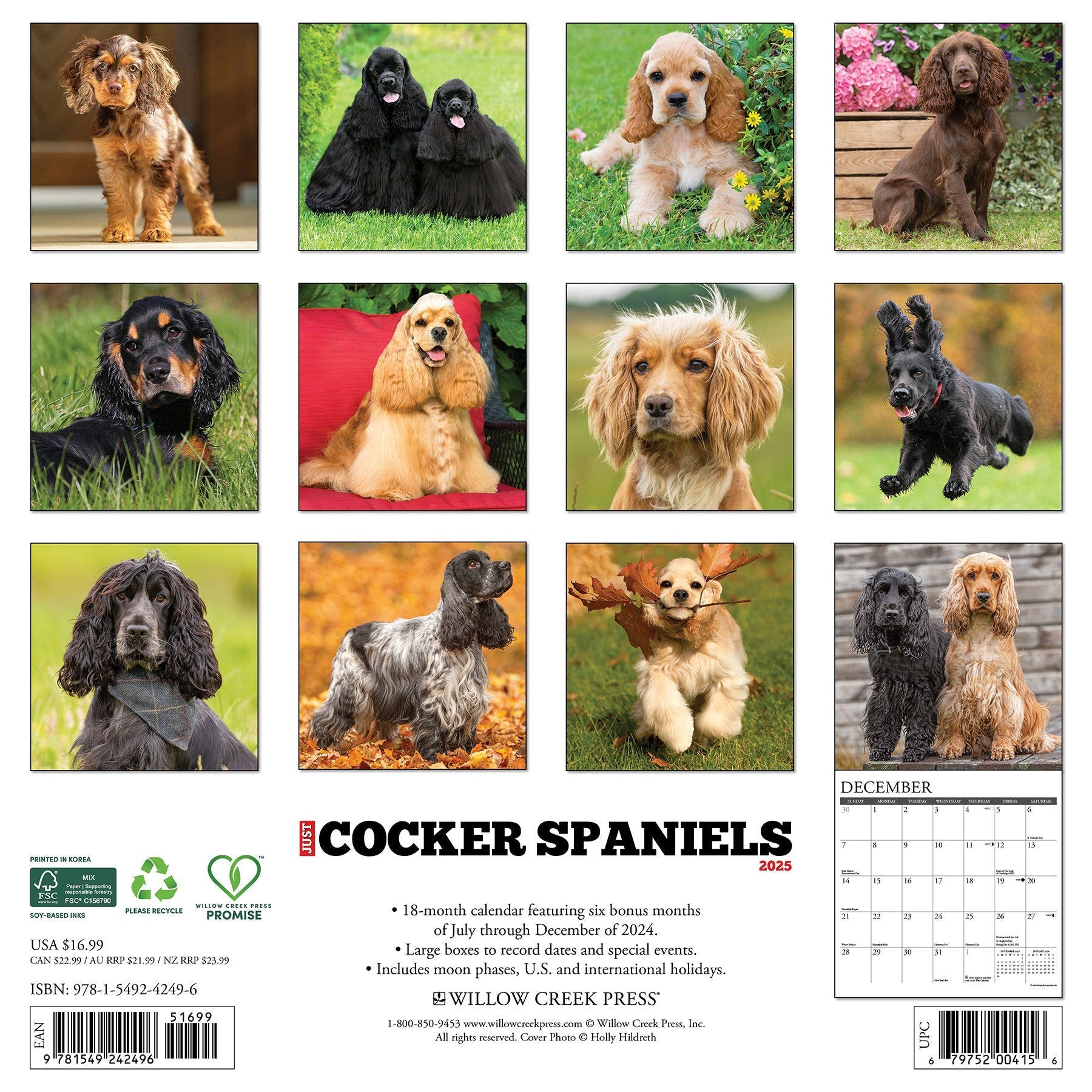 2025 Cocker Spaniels - Square Wall Calendar (US Only)