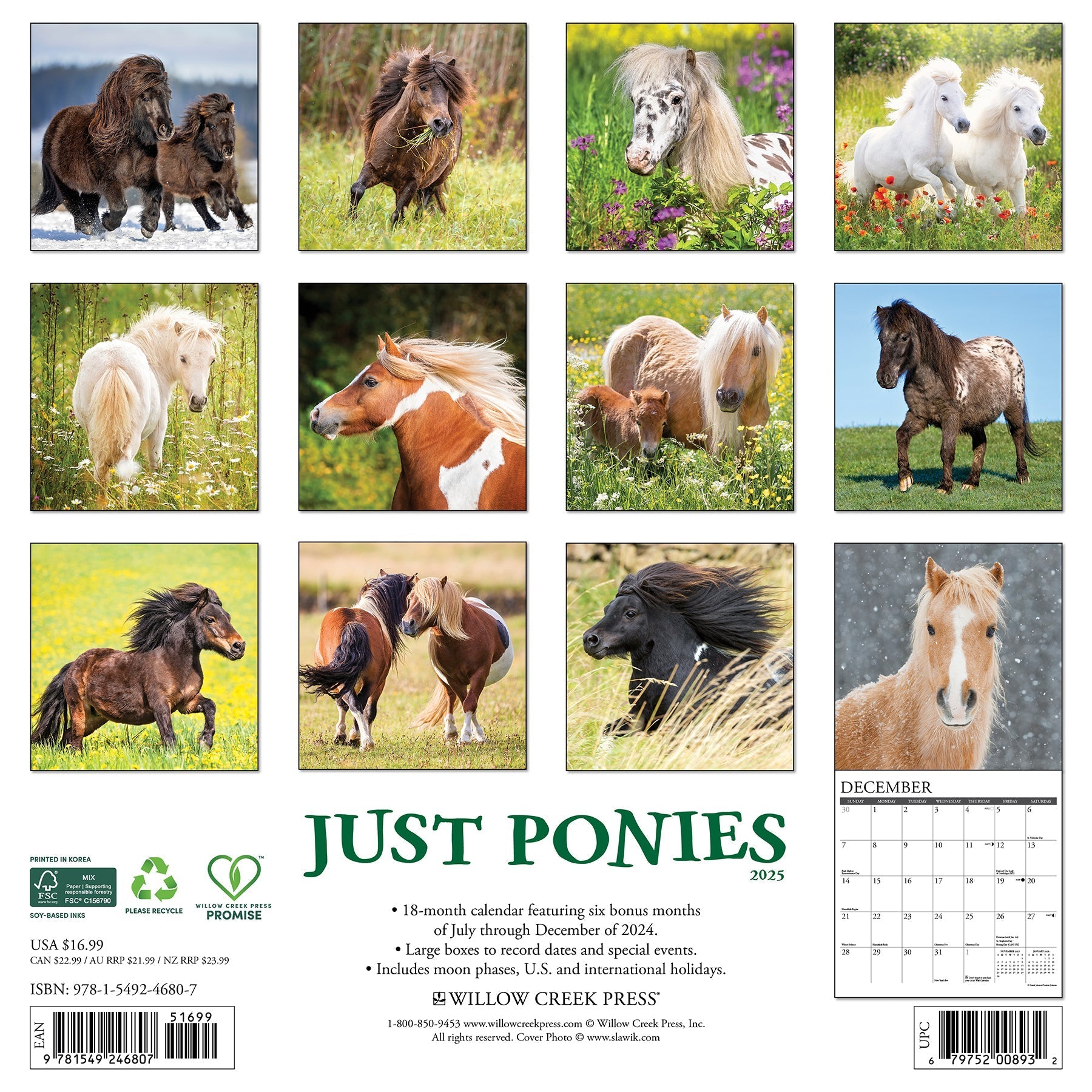 2025 Ponies - Square Wall Calendar (US Only)