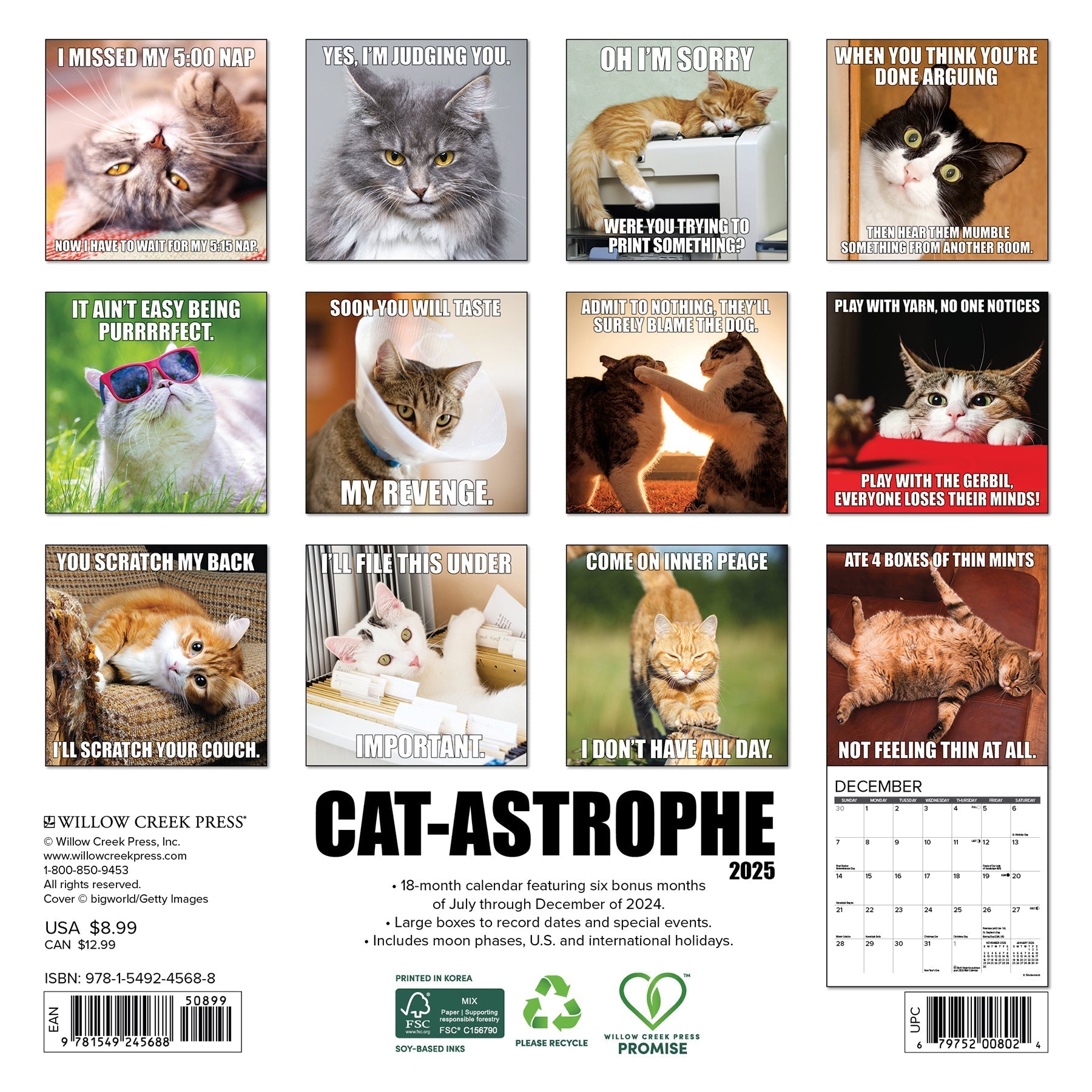 2025 Cat-astrophe - Mini Wall Calendar (US Only)