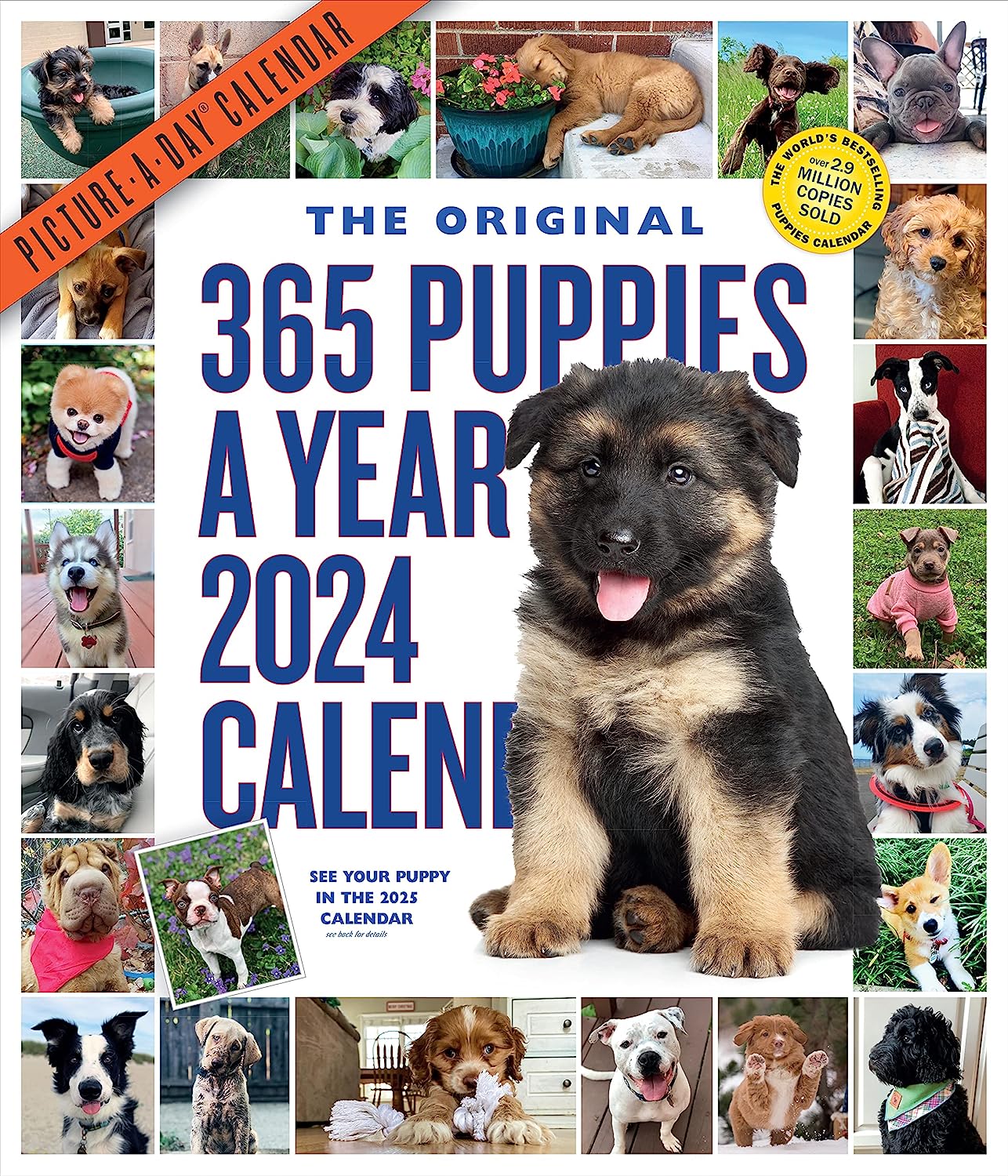 2024 365 Puppies-A-Year - Deluxe Wall Calendar