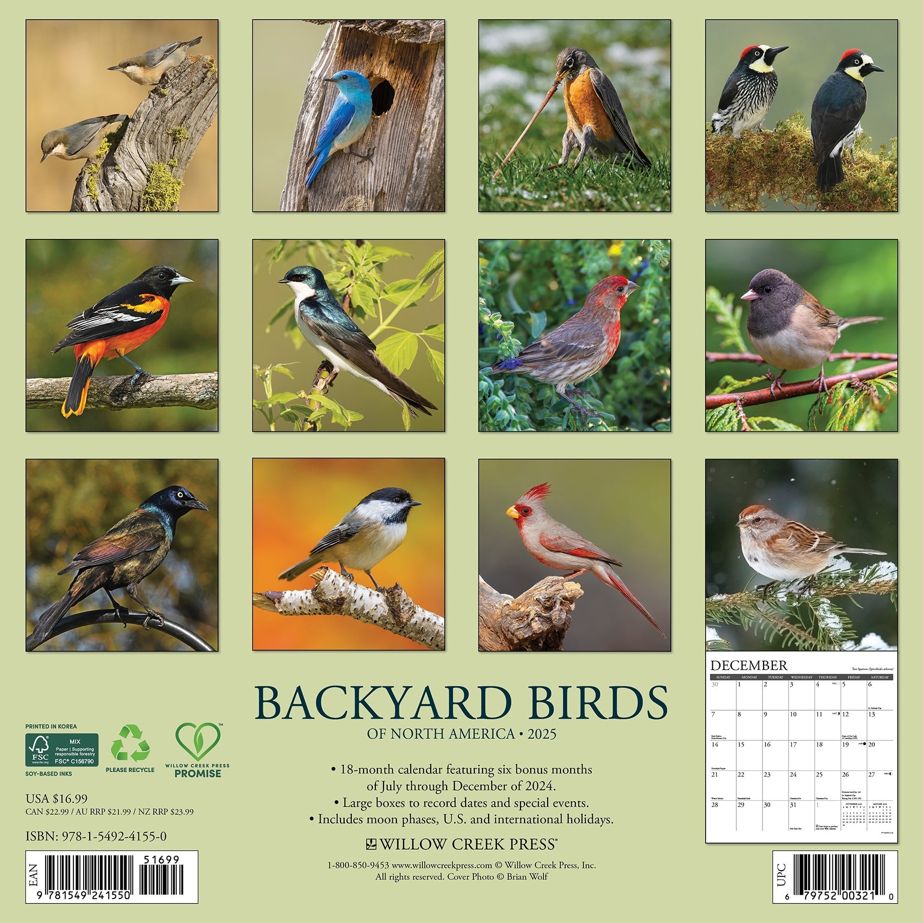 2025 Backyard Birds - Square Wall Calendar (US Only)