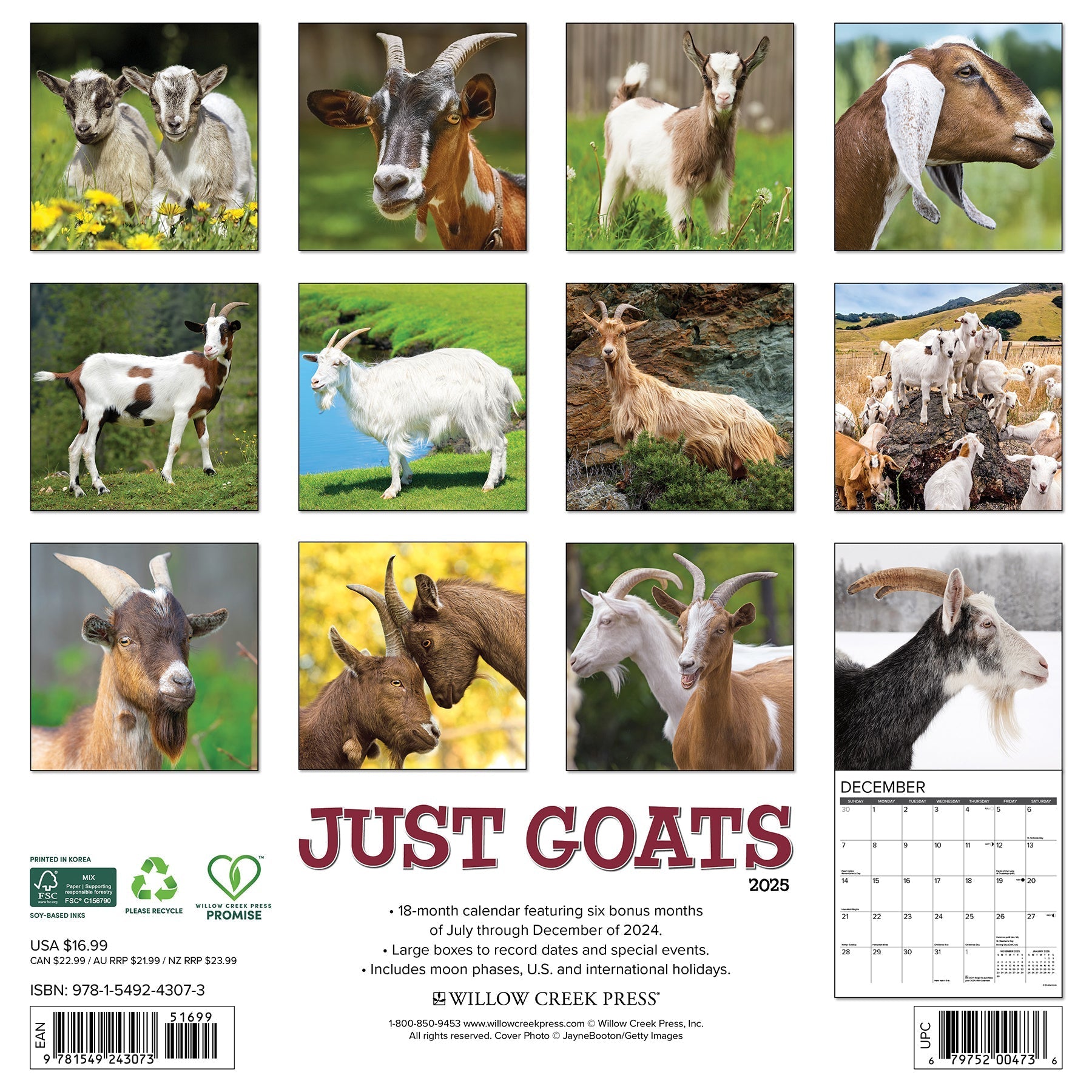 2025 Goats - Square Wall Calendar (US Only)