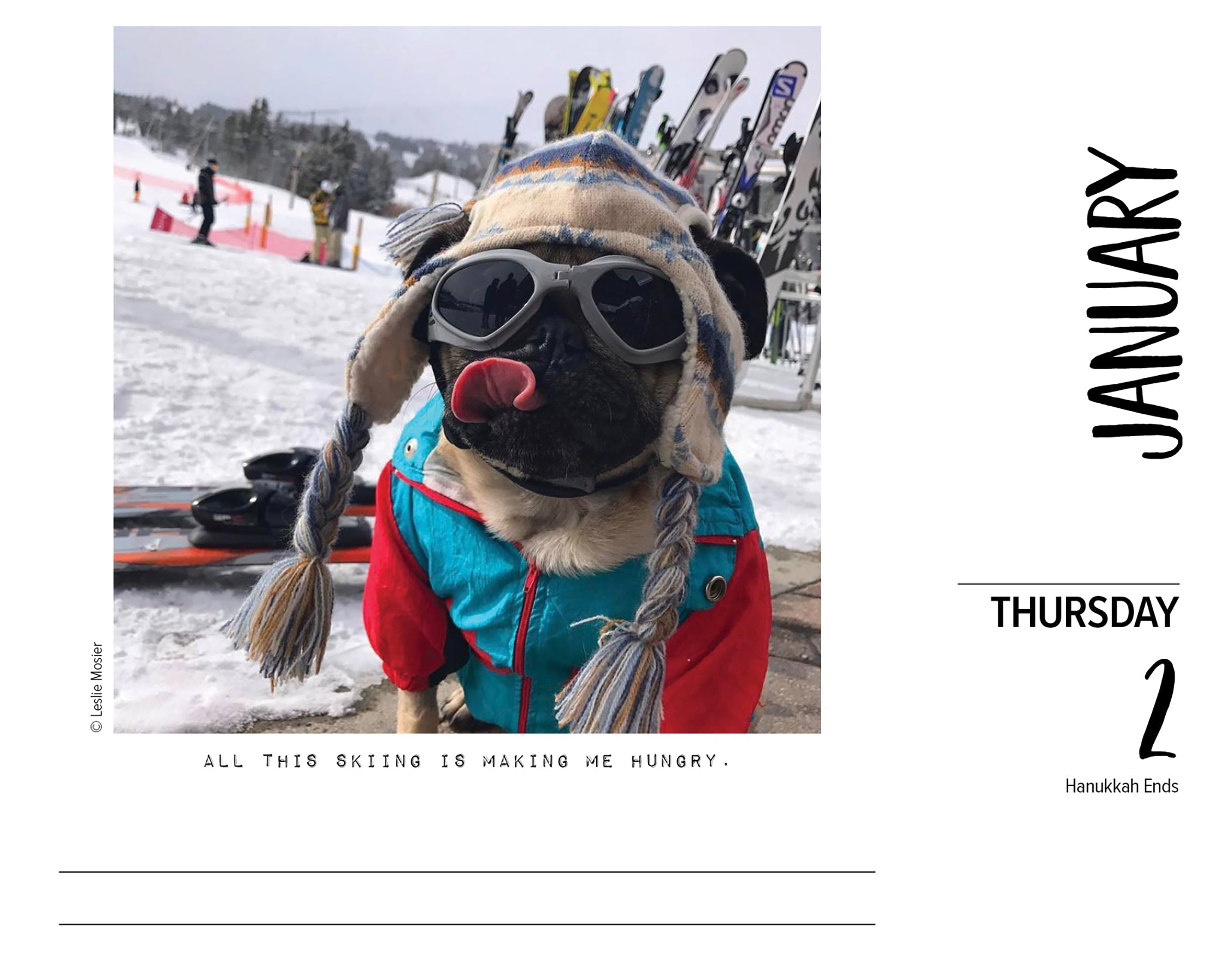 2025 Doug the Pug - USA - Daily Boxed Page-A-Day Calendar (US Only)