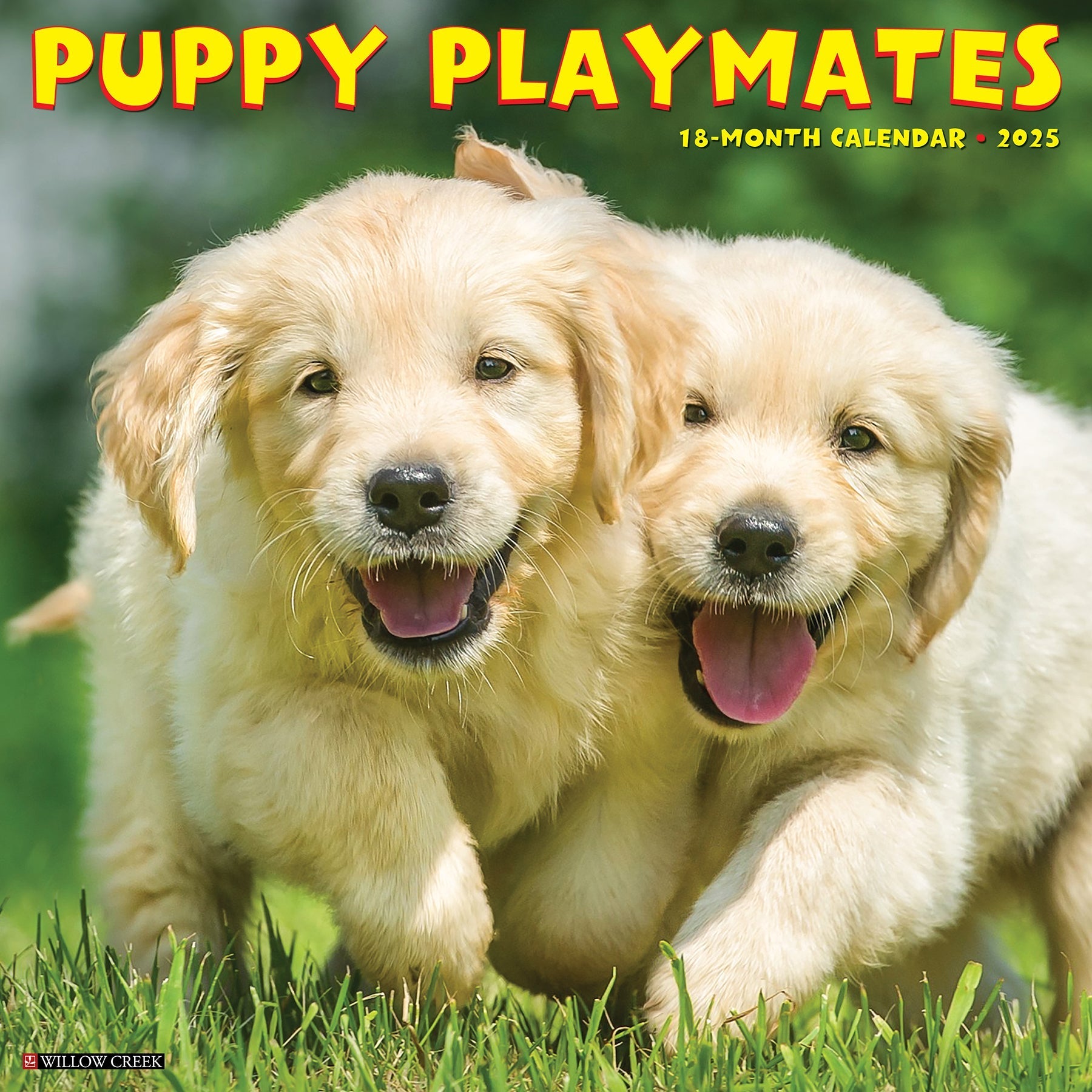 2025 Puppy Playmates - Square Wall Calendar (US Only)