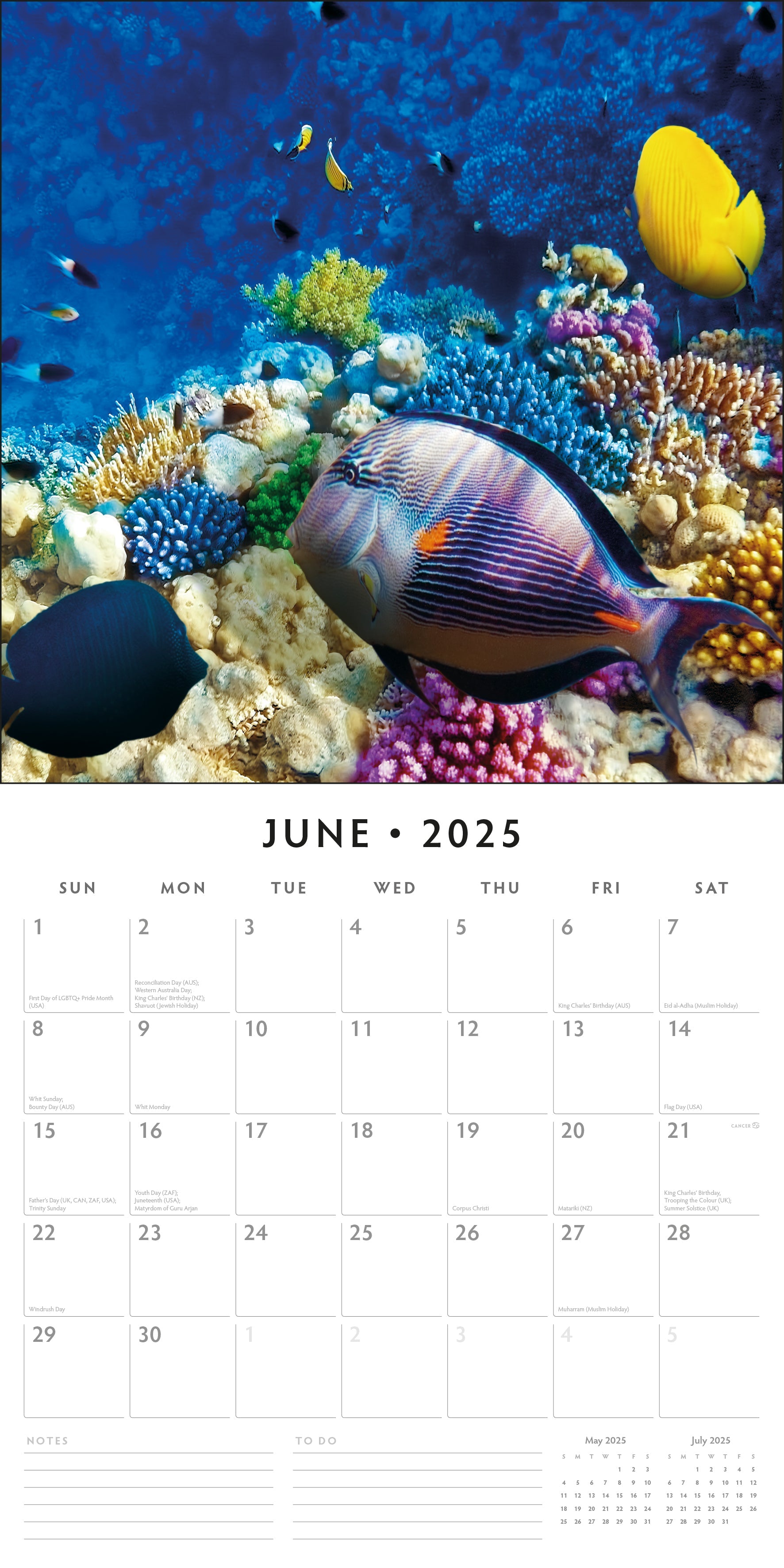 2025 Ocean Life - Square Wall Calendar