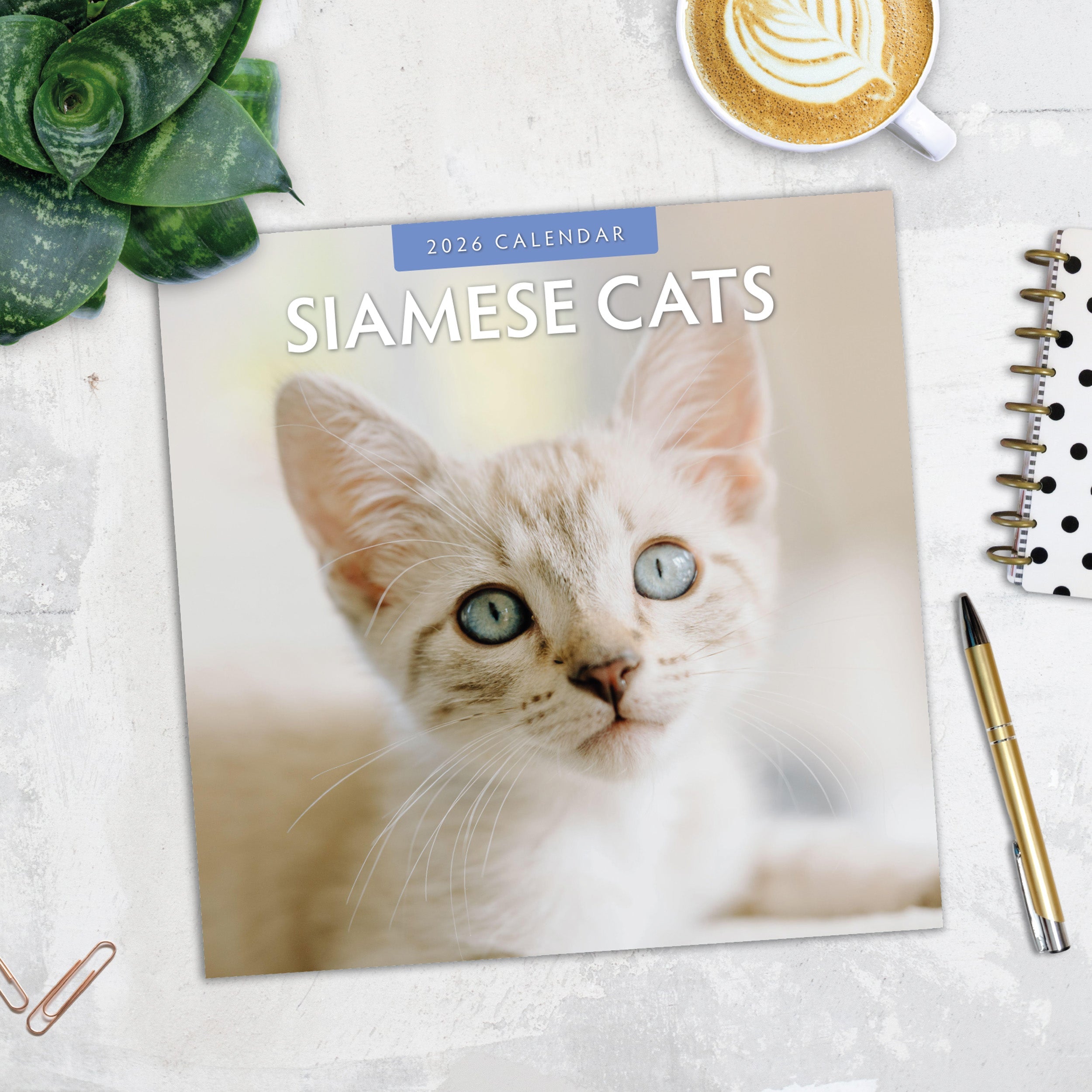 2026 Siamese Cats - Square Wall Calendar